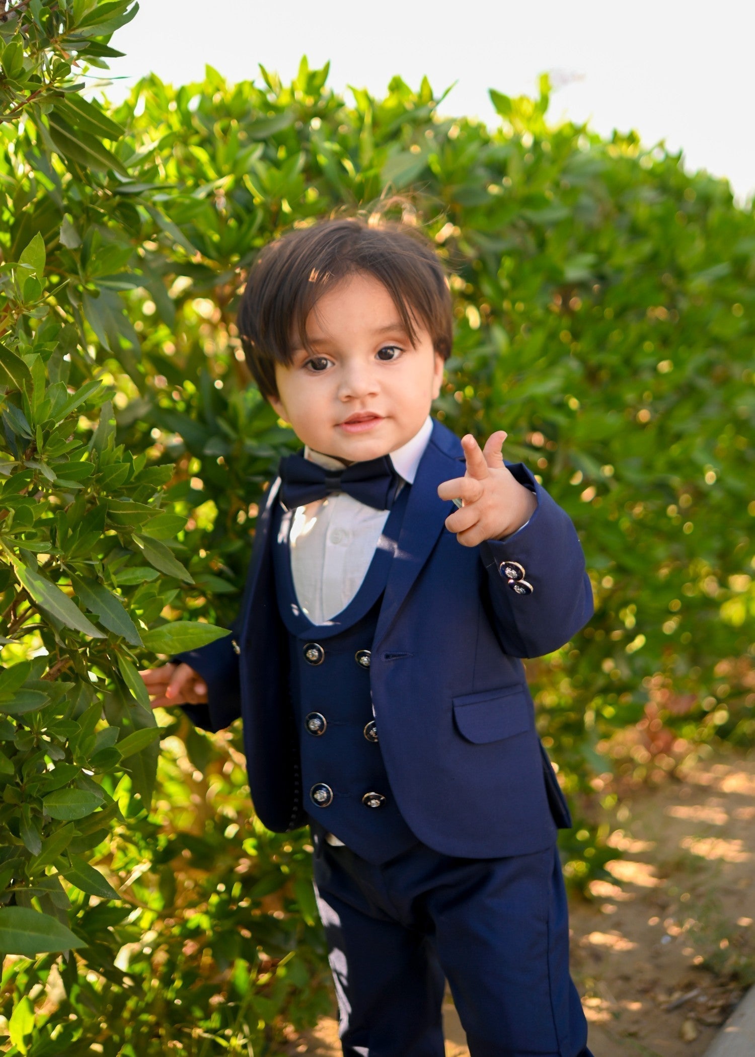 suiting Suits in Royal blue