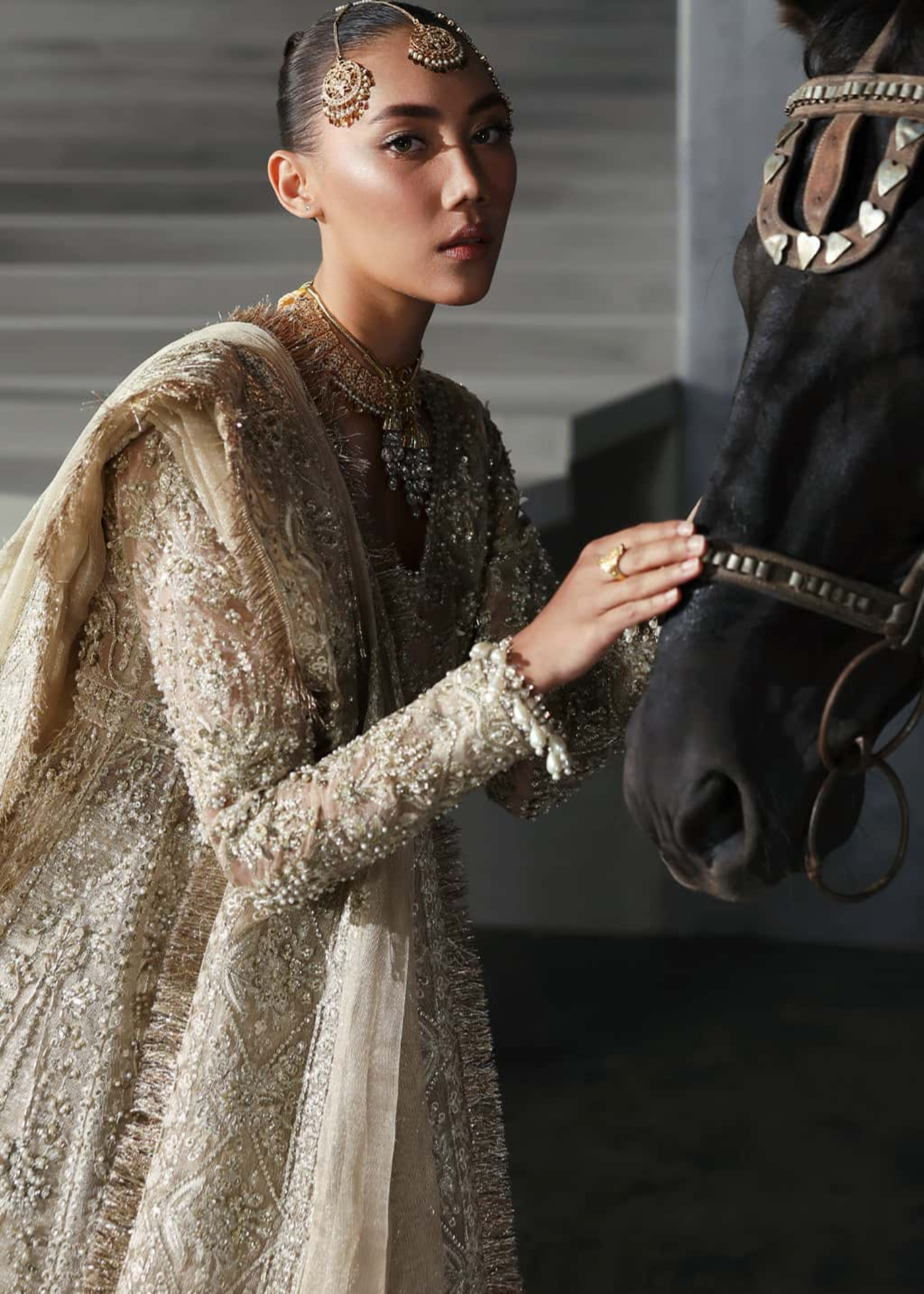 khaddi net Lehenga in Champagne
