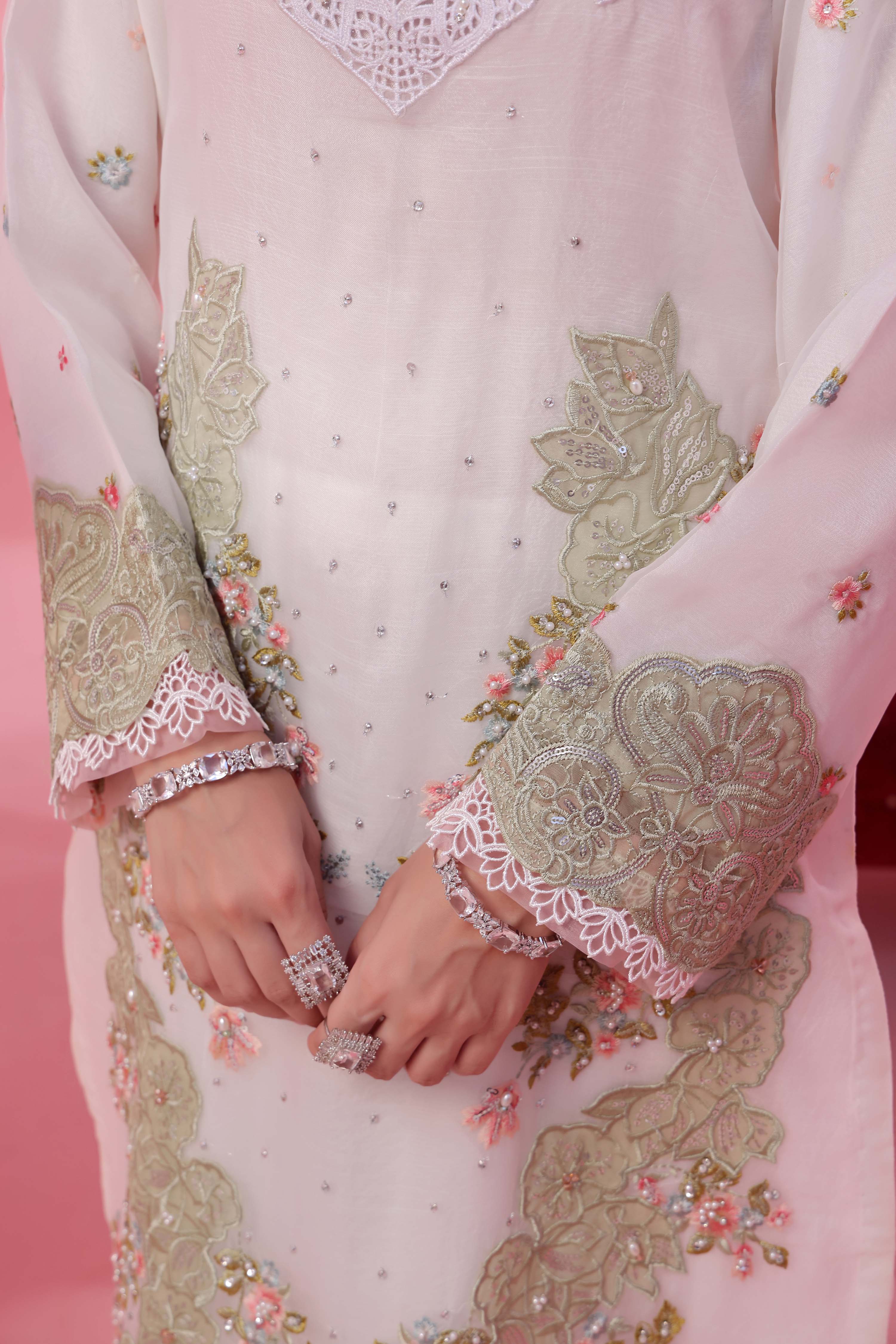 Noori RTW Organza Formal Pret – Chandni