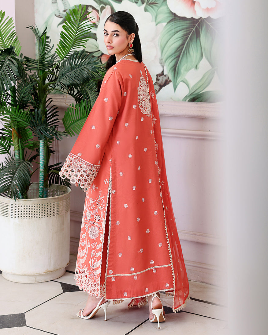 Veil of Summer Chikankari Lawn Edit – Soleil Blanc