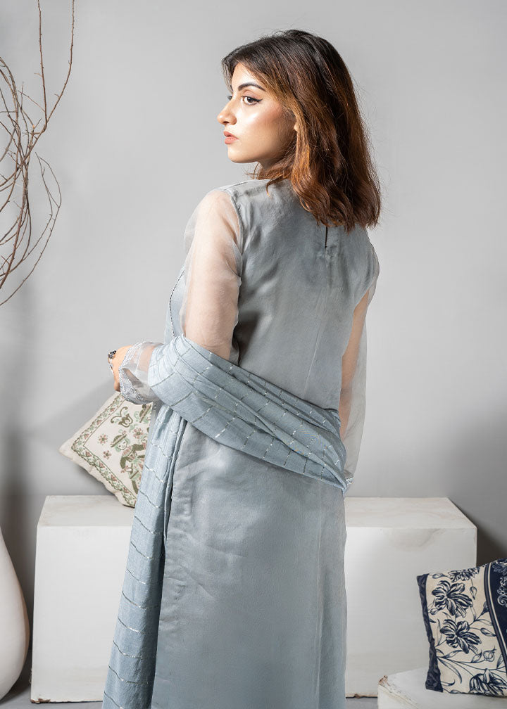 organza Kurta Set in Silver