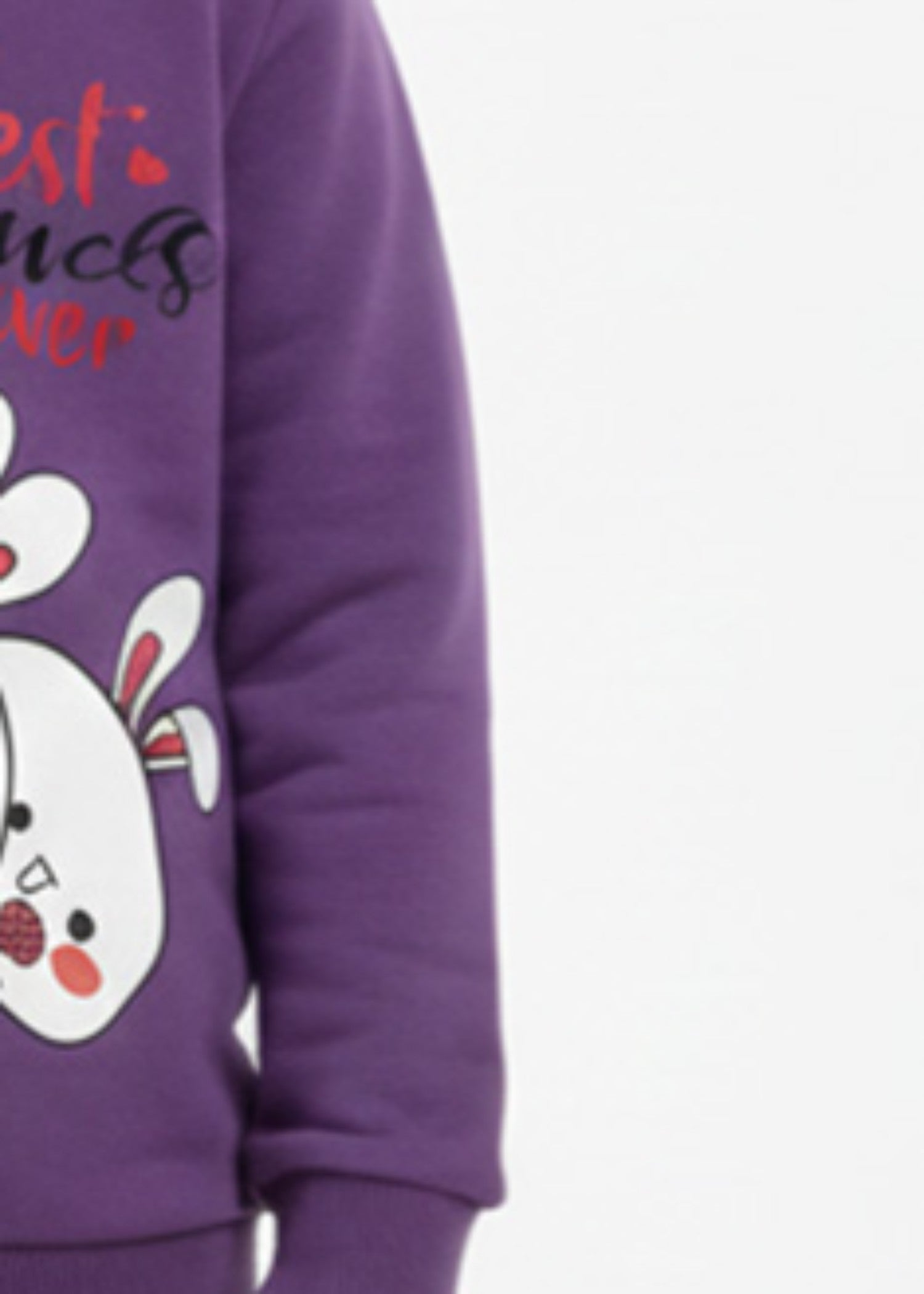 fleece Sweatshirt in Royal purple
