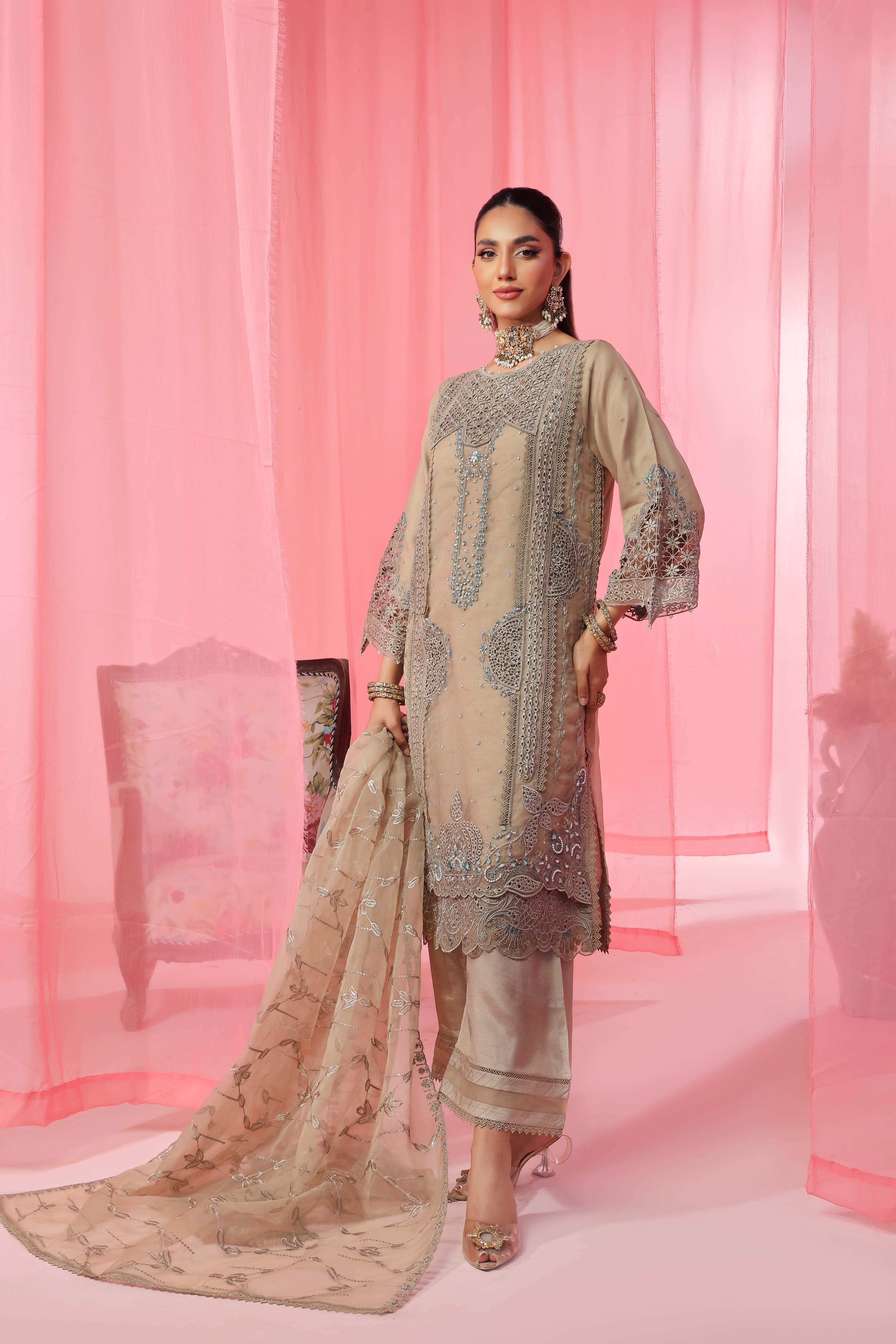 Noori RTW Organza Formal Pret – Roshna