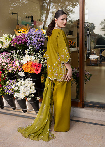 textured lawn Kurta Set in Olive green