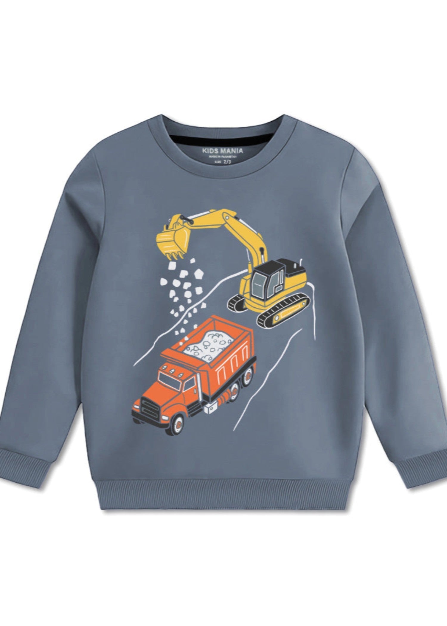 fleece Sweatshirt in Cool grey