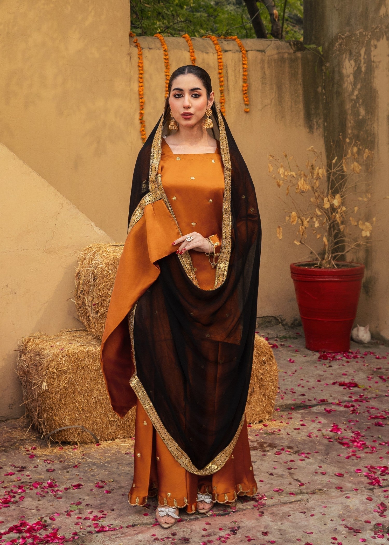 silk Sharara in Burnt orange