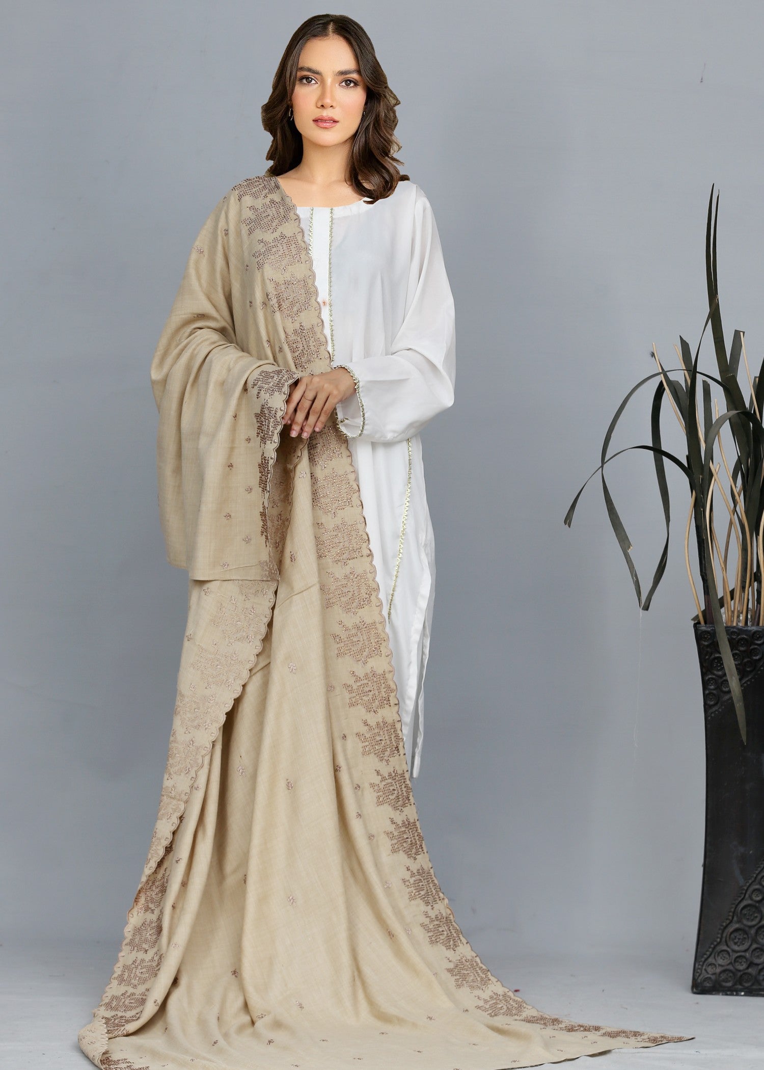 Shawl in Beige Color by - Trendy Women Shawl OVP8873