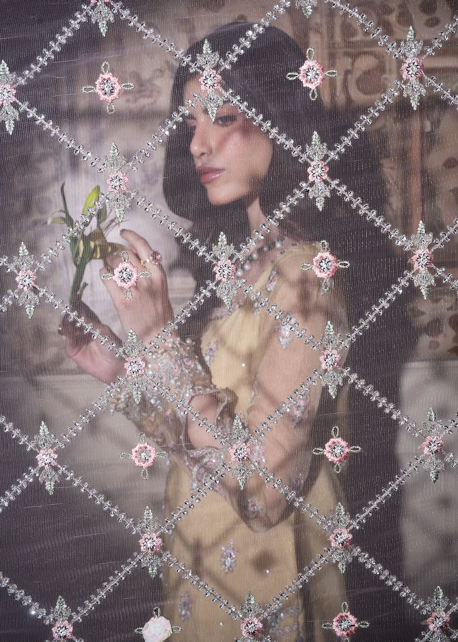 organza Gharara in Butter