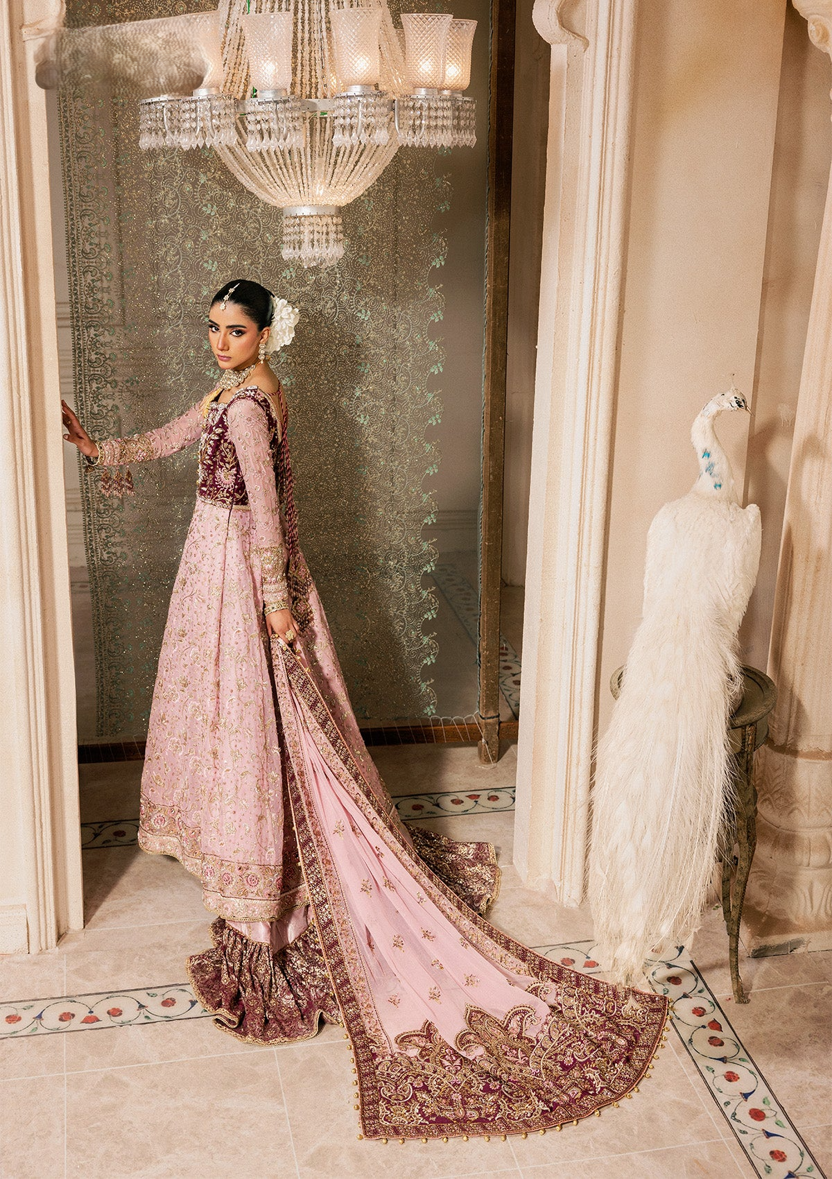 organza Gharara in Maroon, pink