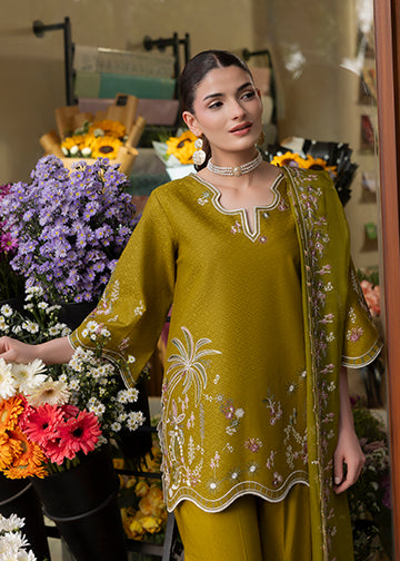 textured lawn Kurta Set in Olive green