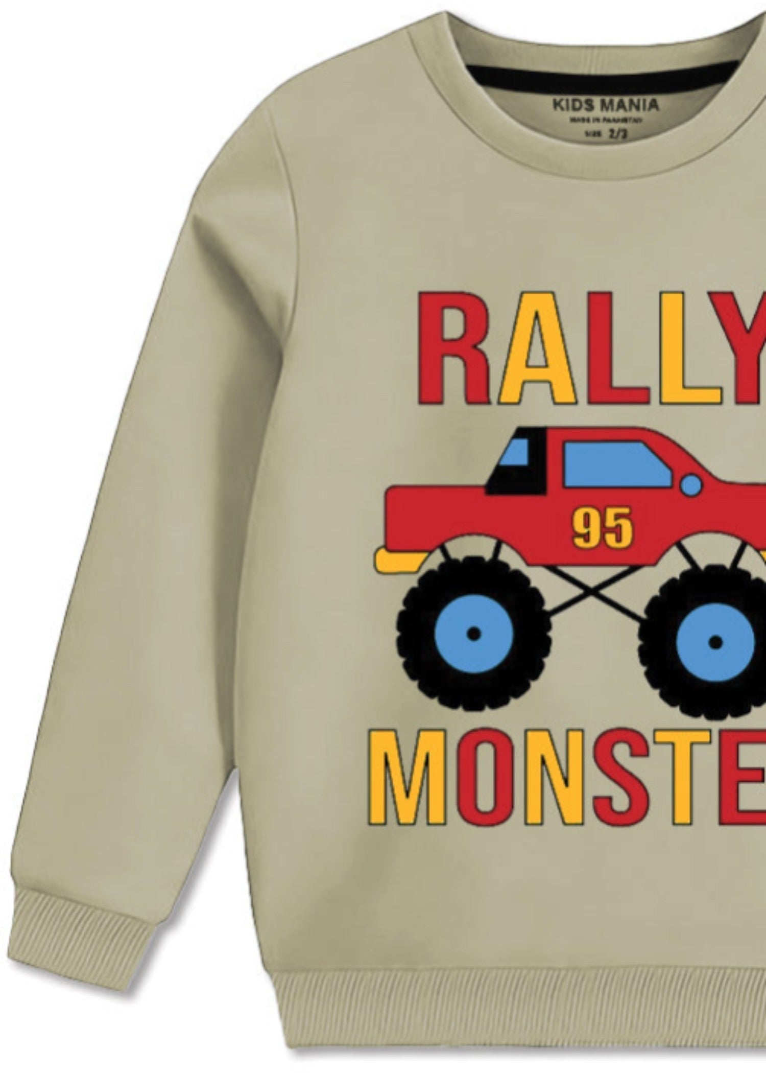 fleece Sweatshirt in Sage green