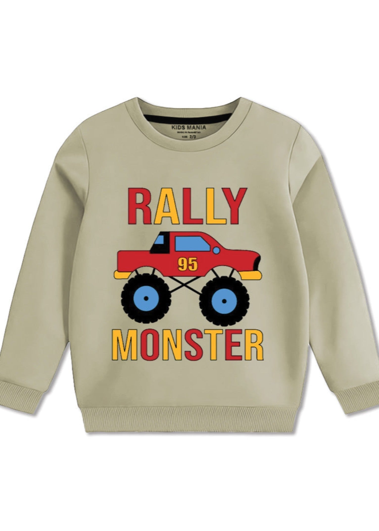 fleece Sweatshirt in Sage green