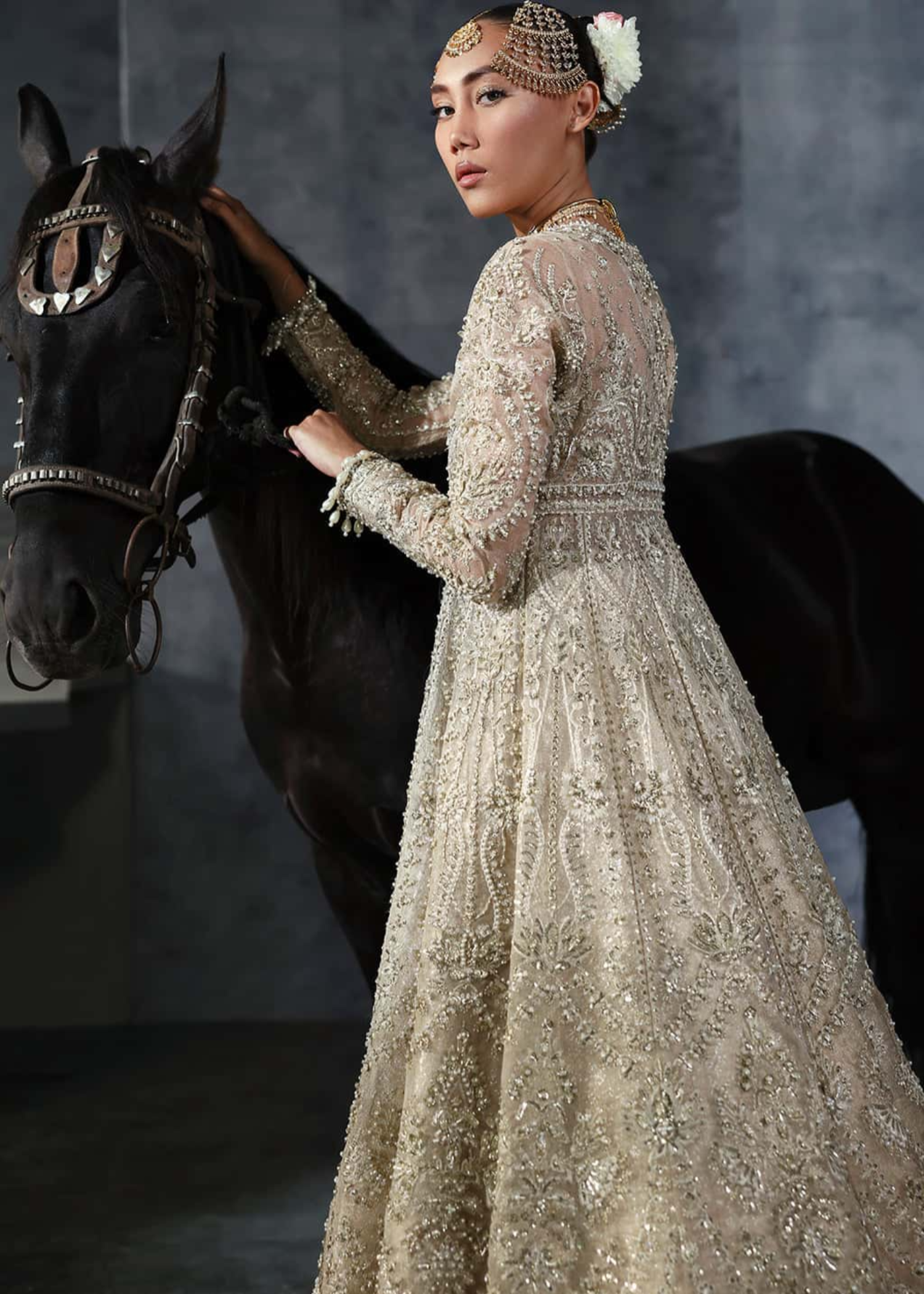 khaddi net Lehenga in Champagne