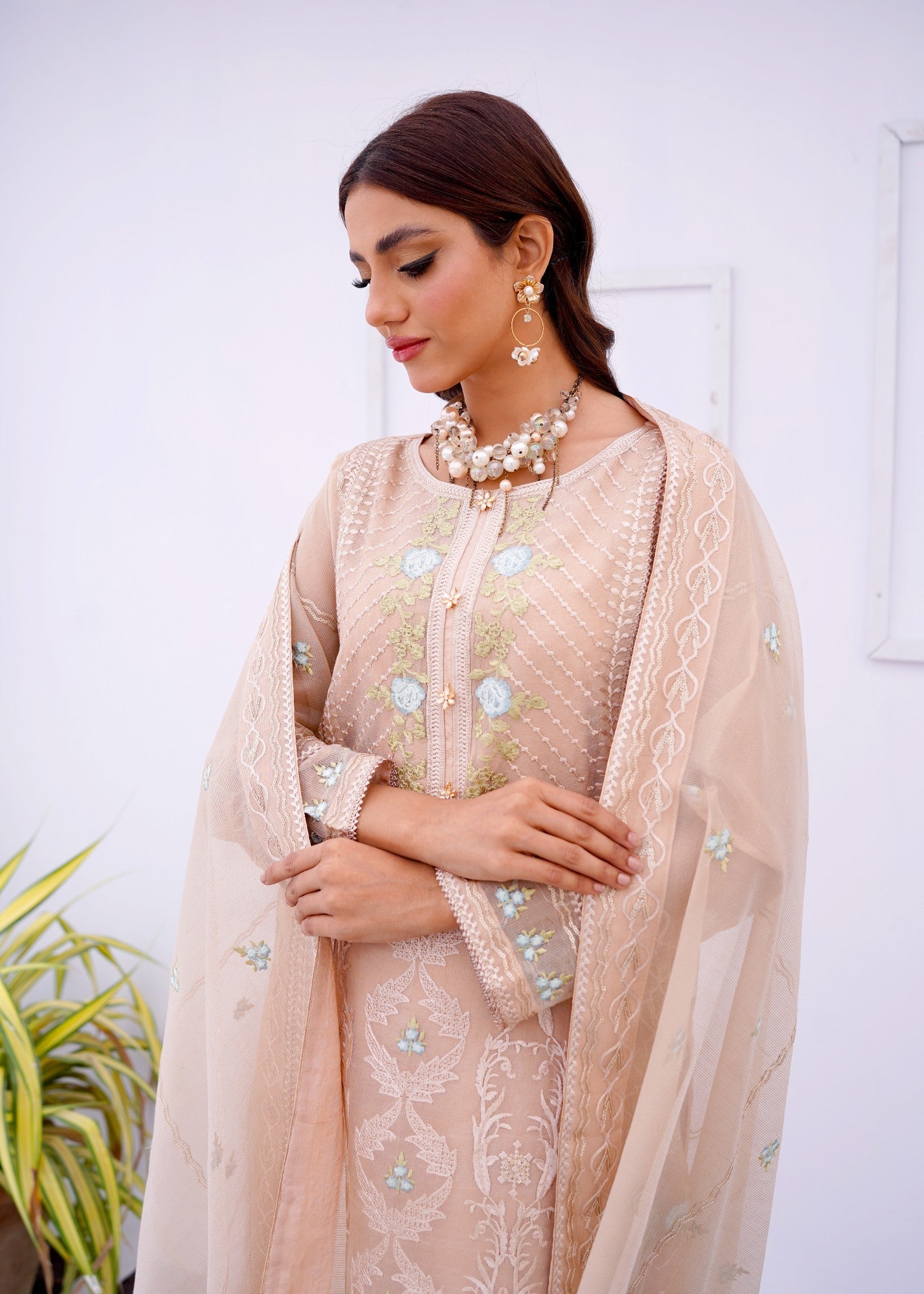 organza net Kurta Set in Beige