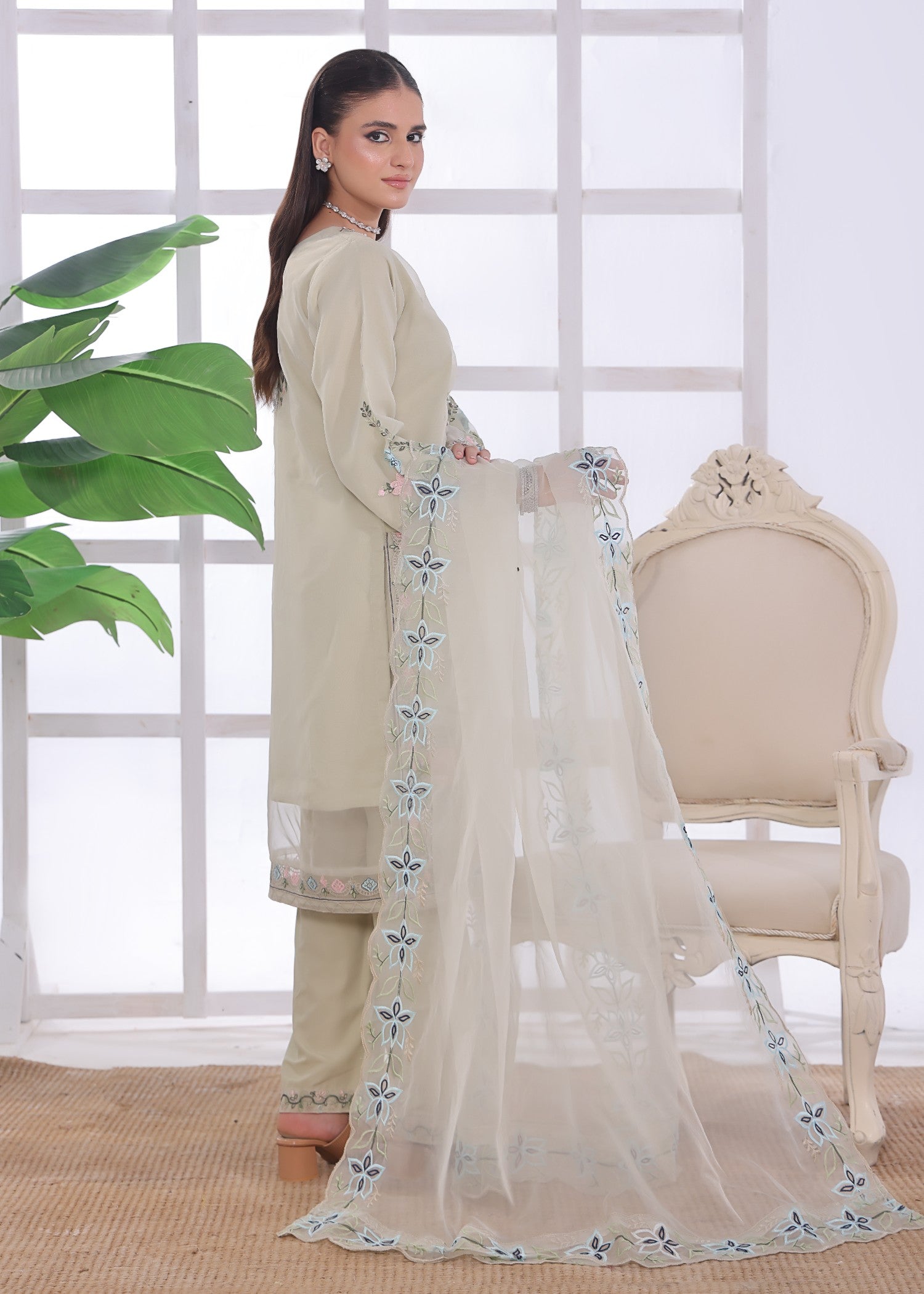 organza Kurta Set in Beige