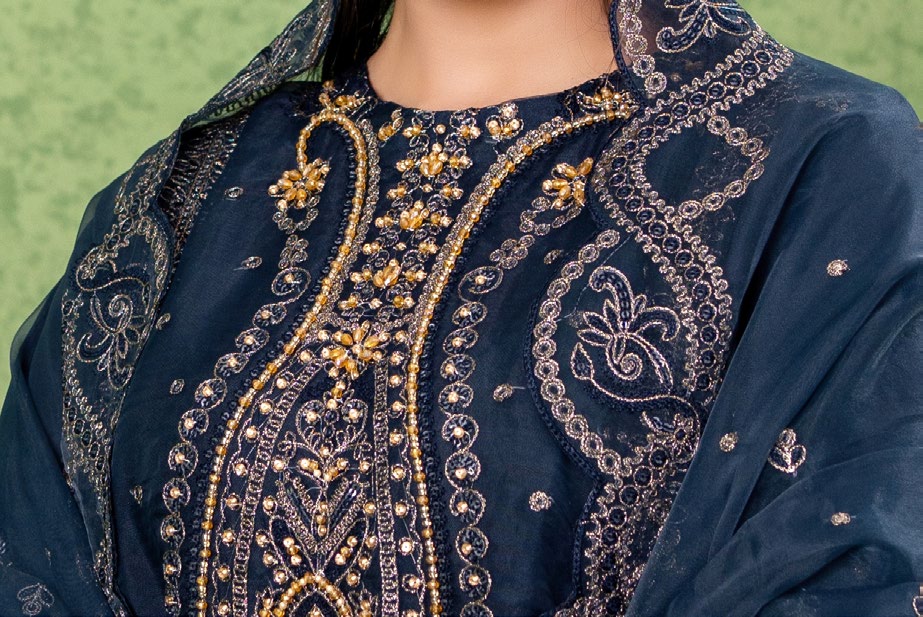 Kahani Festive Pret Organza Formals – D-2