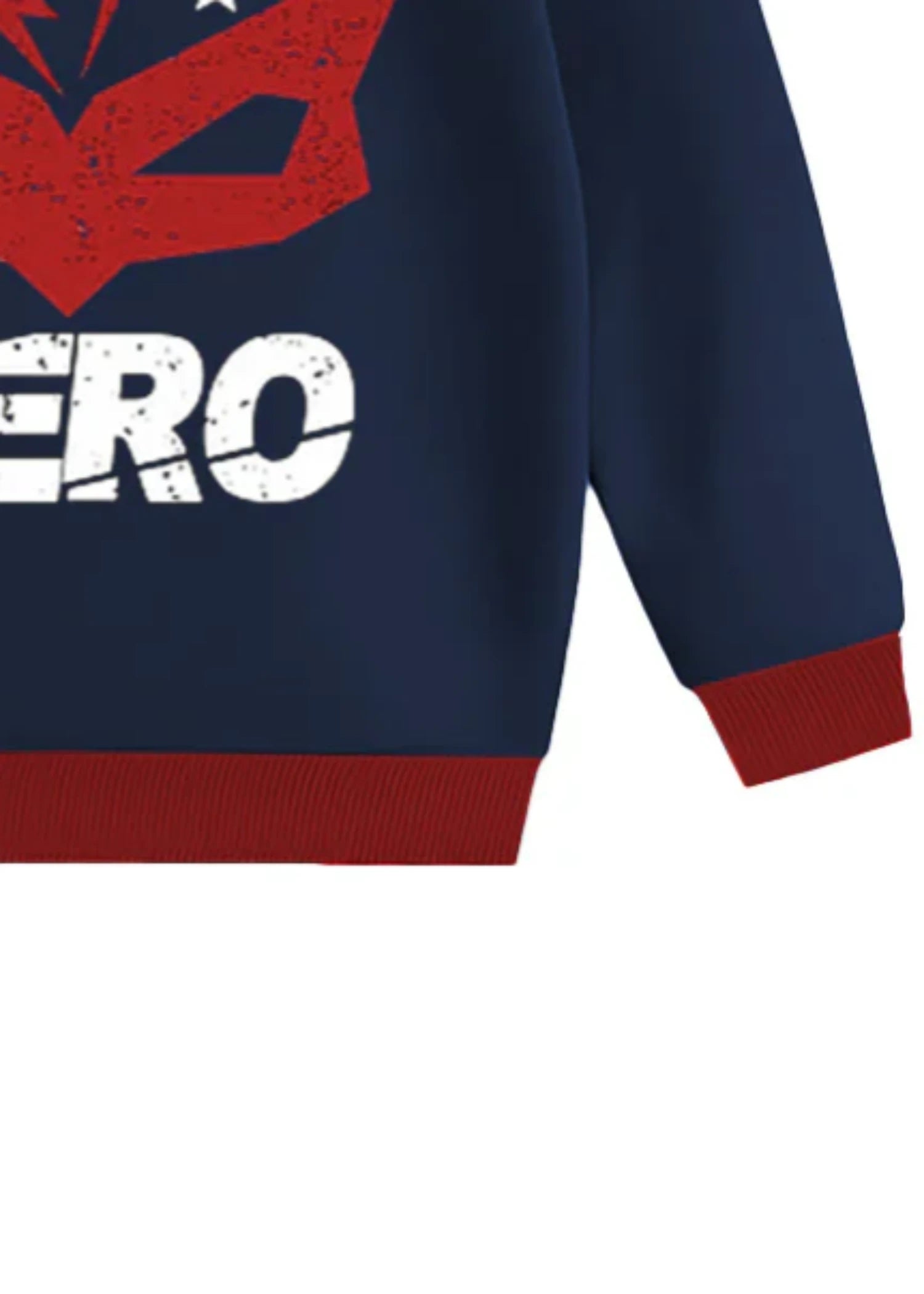 fleece Sweatshirt in Blue