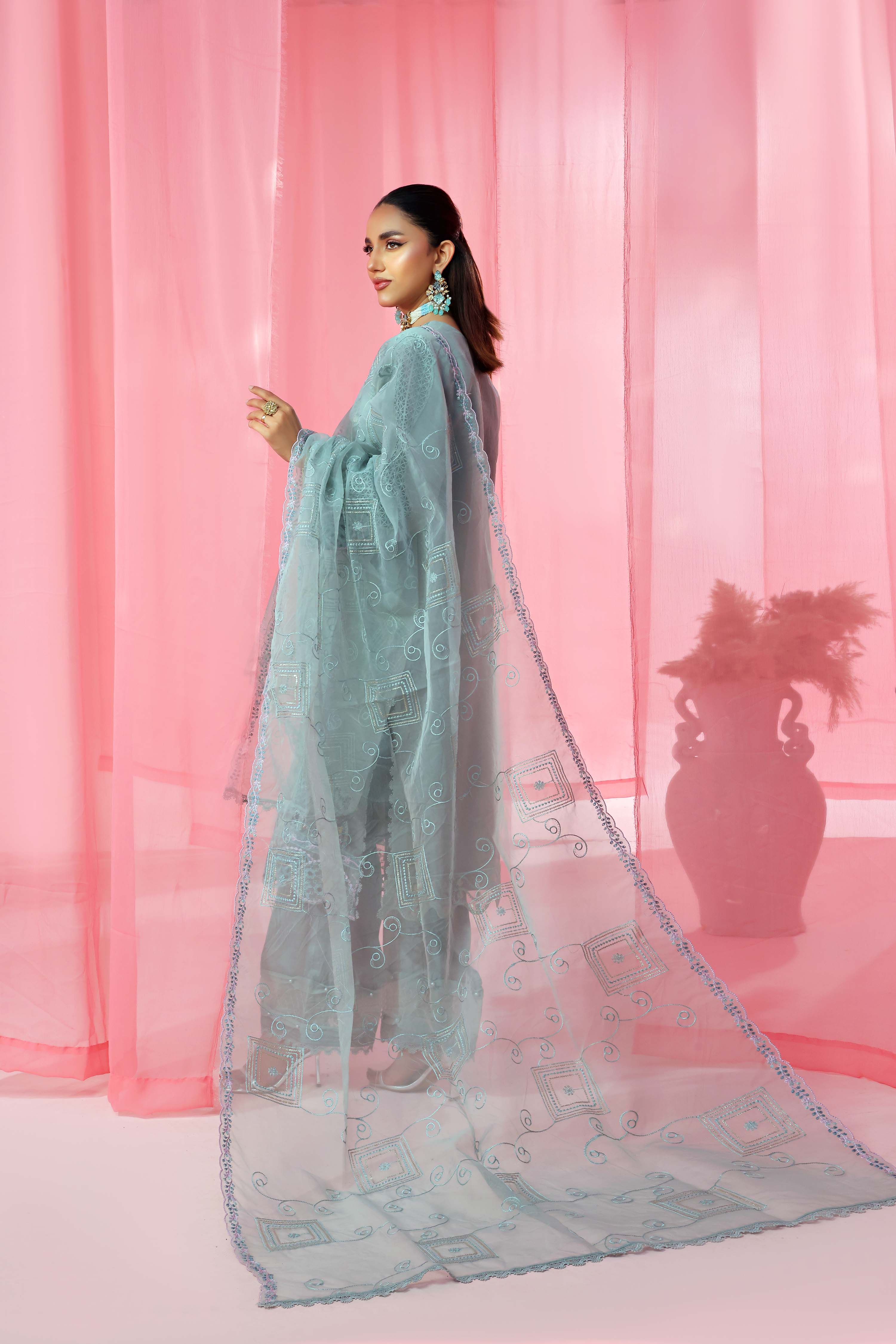 Noori RTW Organza Formal Pret – Ghazal