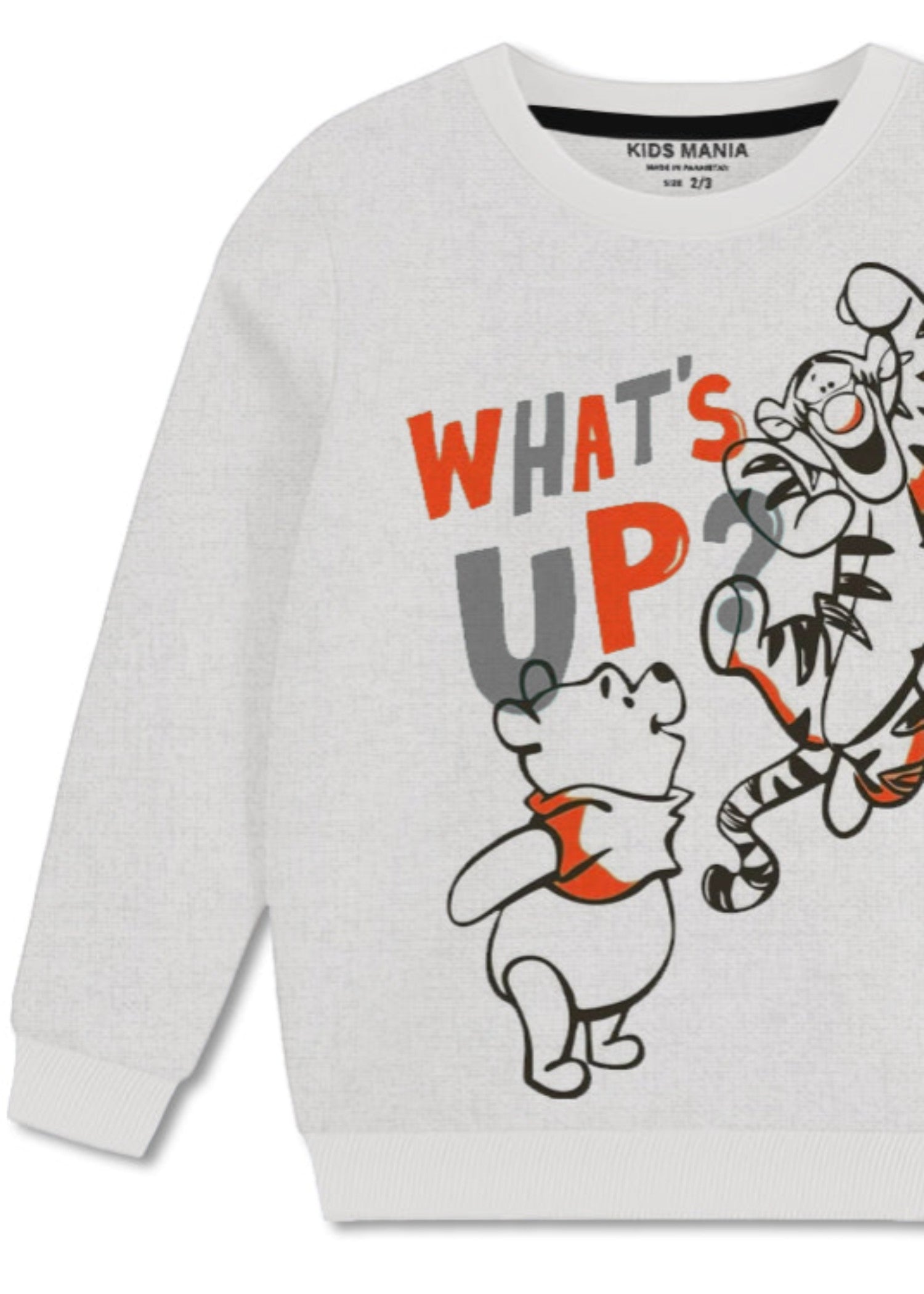 fleece Sweatshirt in Light grey
