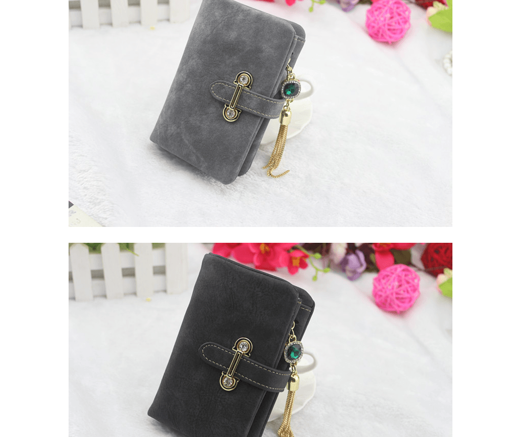 Scrub ladies multi-function coin purse tassel pendant wallet ladies wallet
