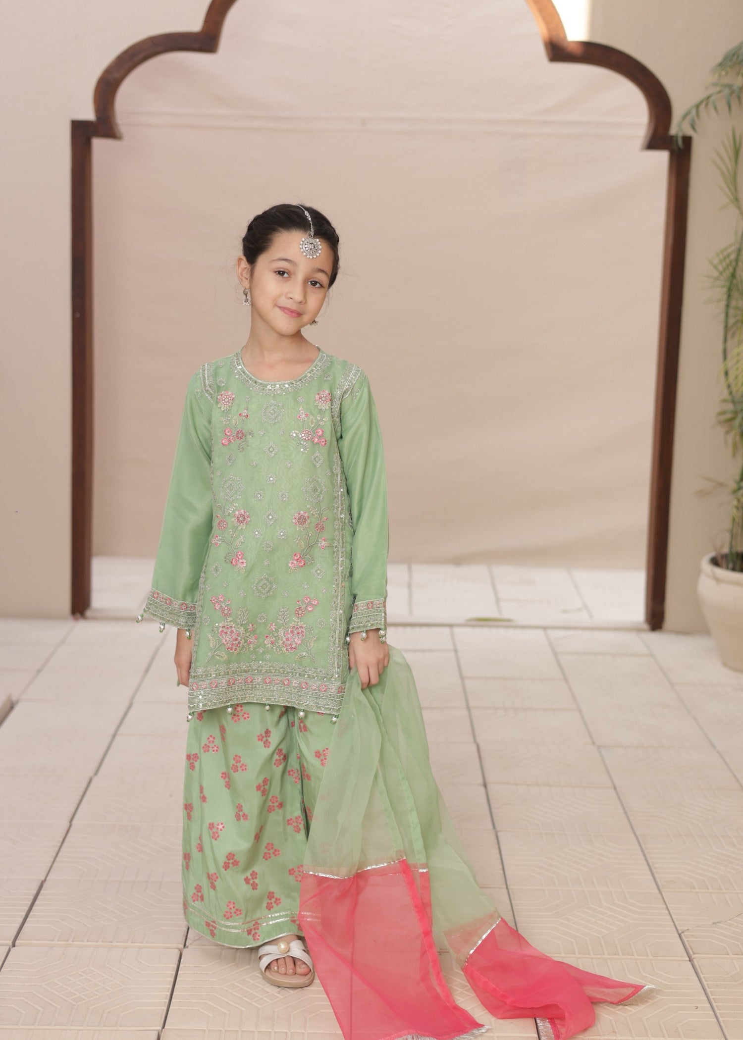 organza Kurta Set in Tea green