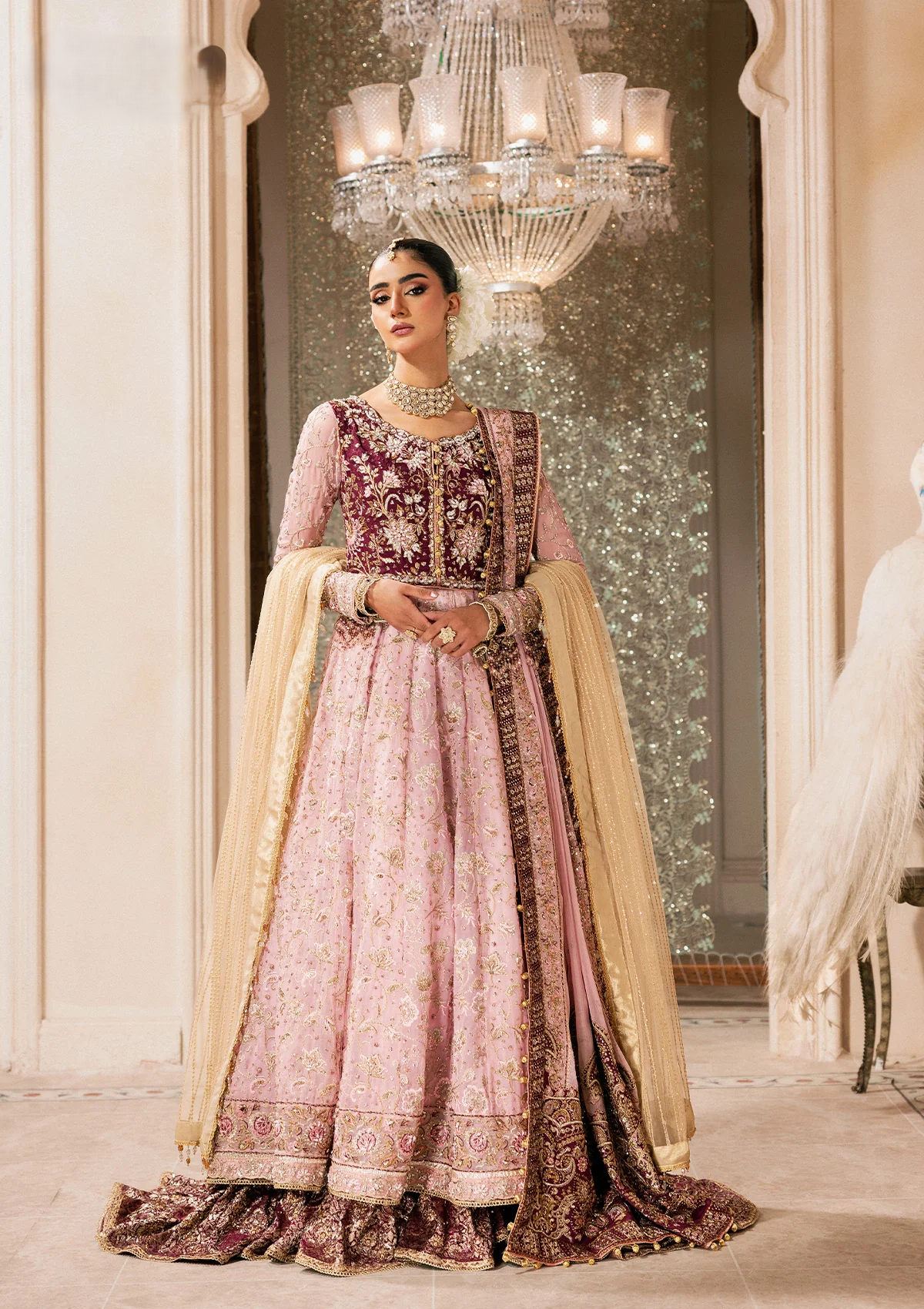 organza Gharara in Maroon, pink