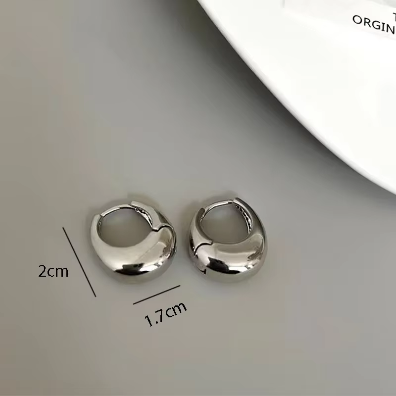 Stainless Steel Smooth Metal Chunky Hoop Earrings For Women Girls Fashion Round Circle Hoops Statement Earrings Punk - view 6