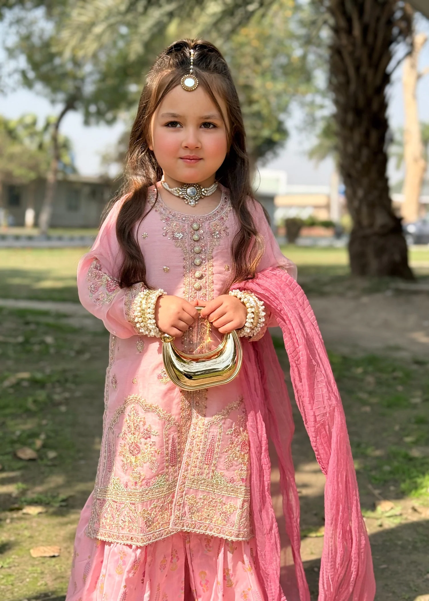 organza Gharara in Blush pink