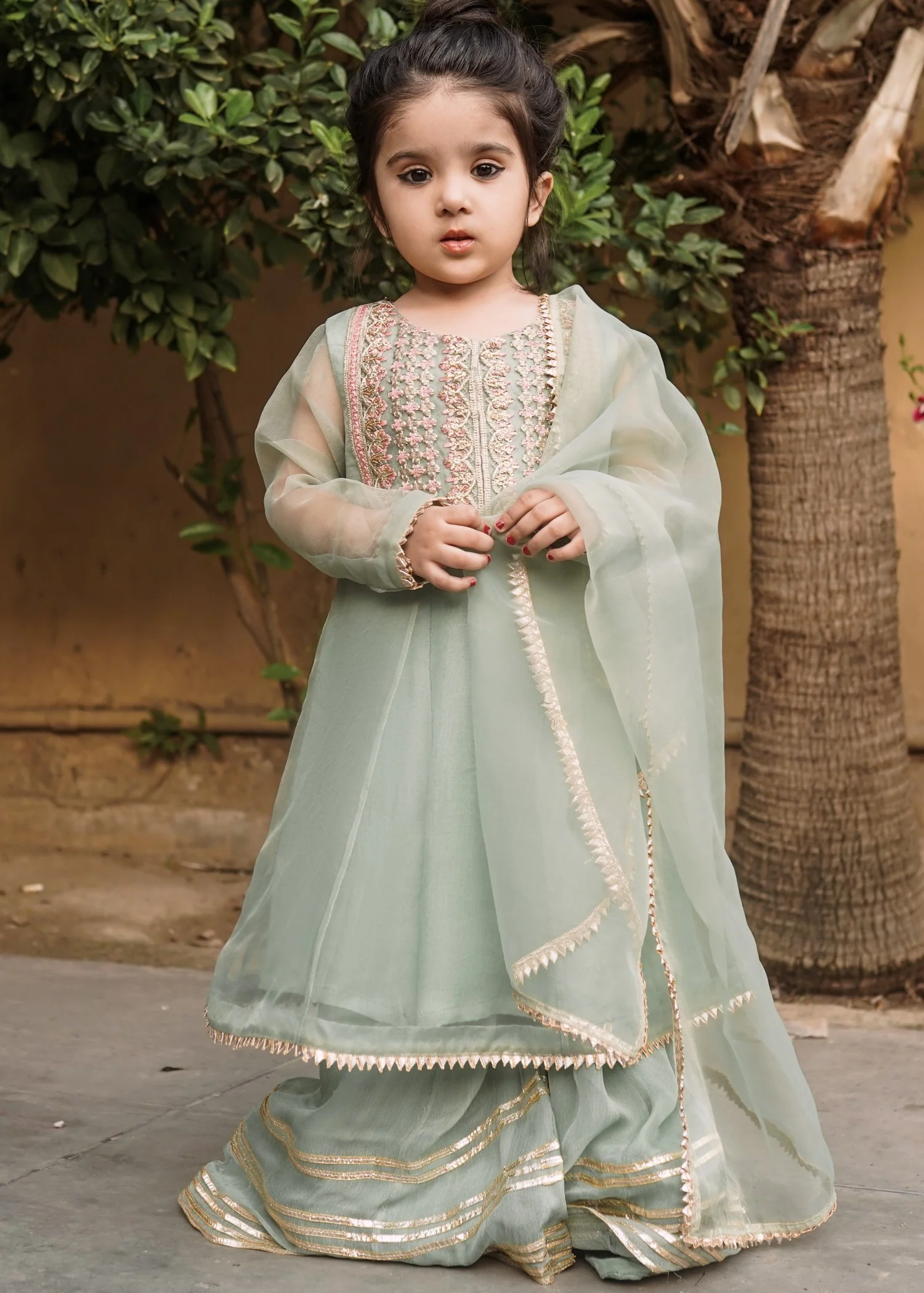 organza Sharara in Green