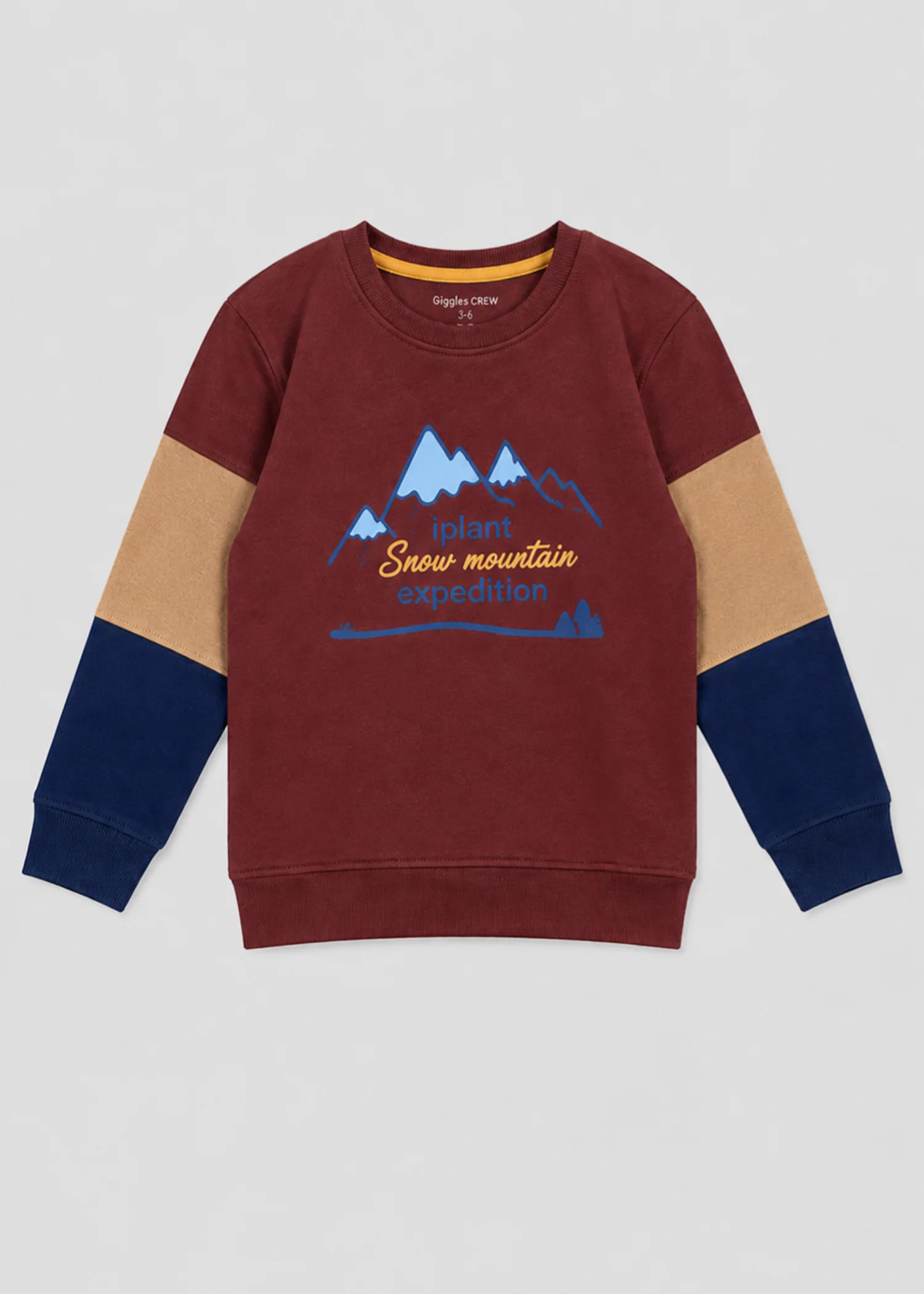 fleece Sweatshirt in Maroon