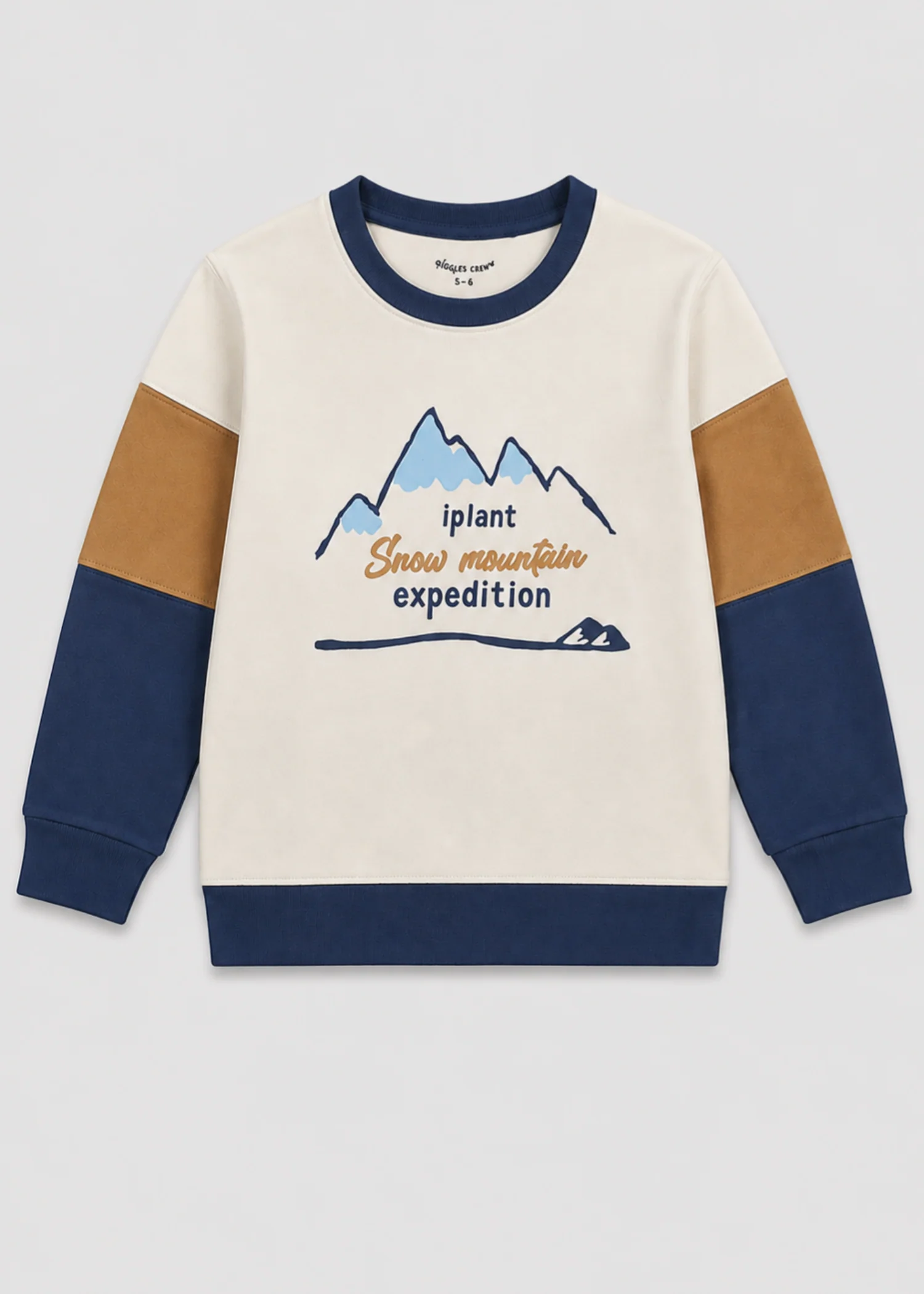 fleece Sweatshirt in Multi