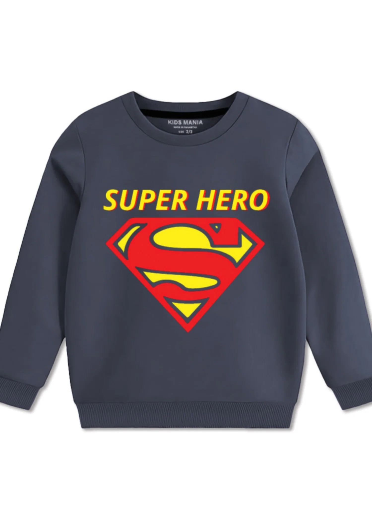 fleece Sweatshirt in Grey