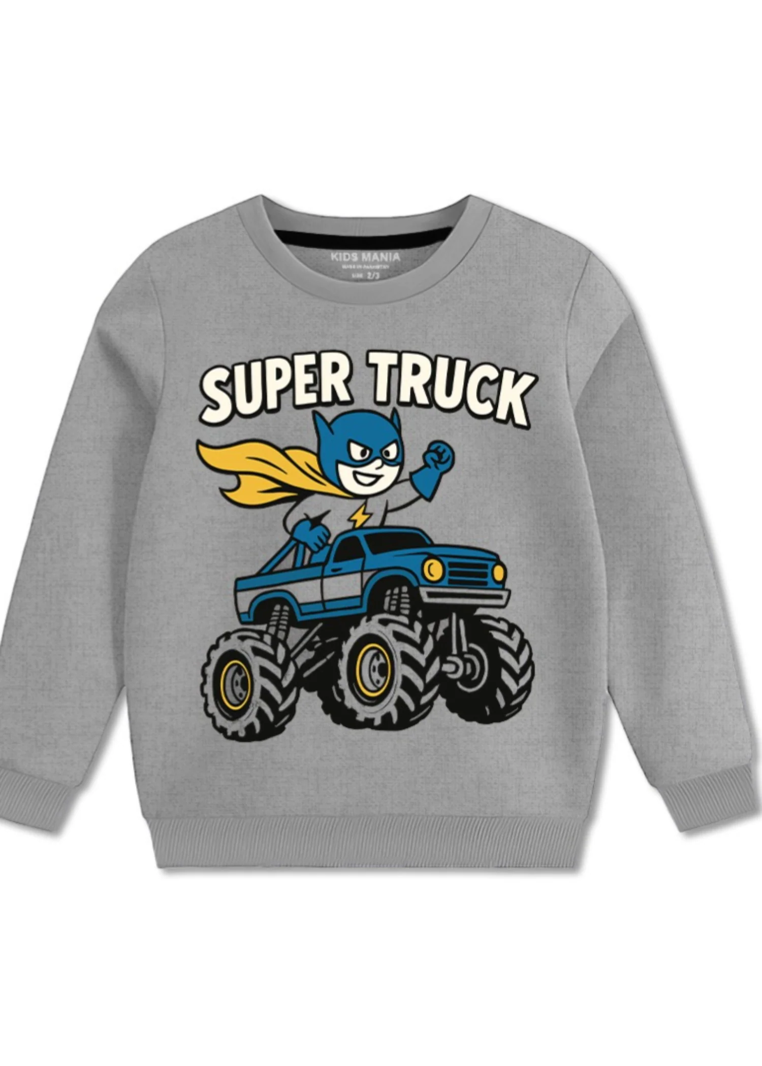 fleece Sweatshirt in Ash grey