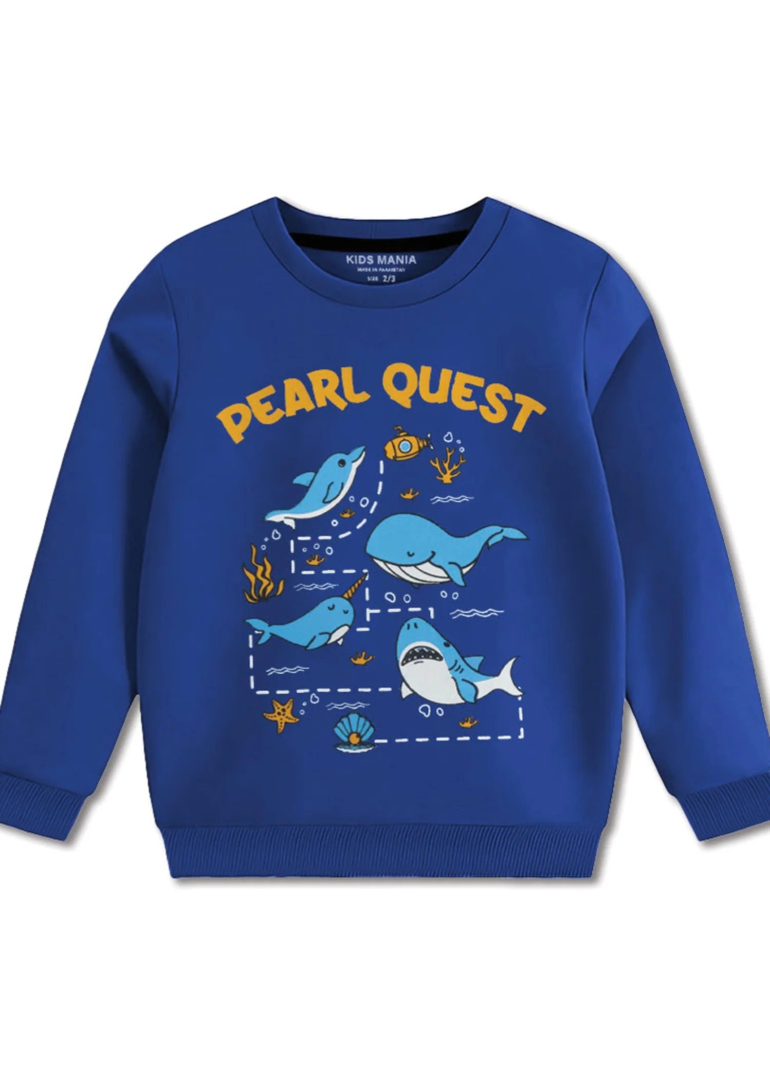 fleece Sweatshirt in Blue