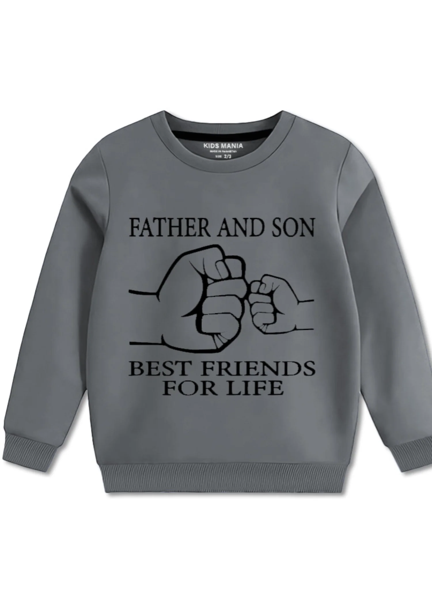 fleece Sweatshirt in Grey