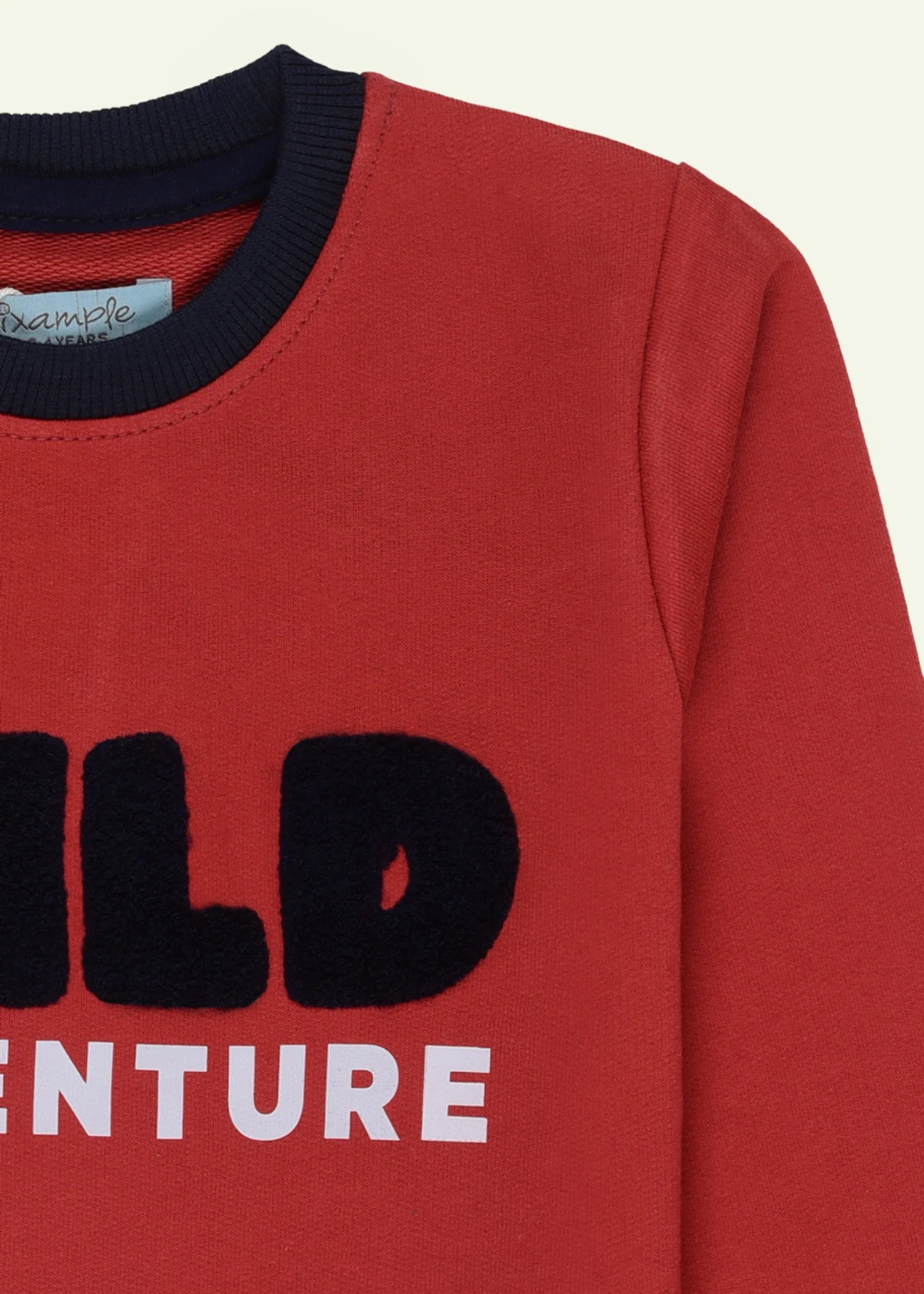 french terry T Shirt in Rust red - view 3