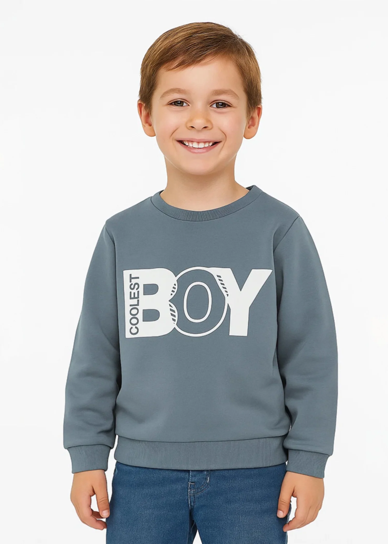 fleece Sweatshirt in Grey