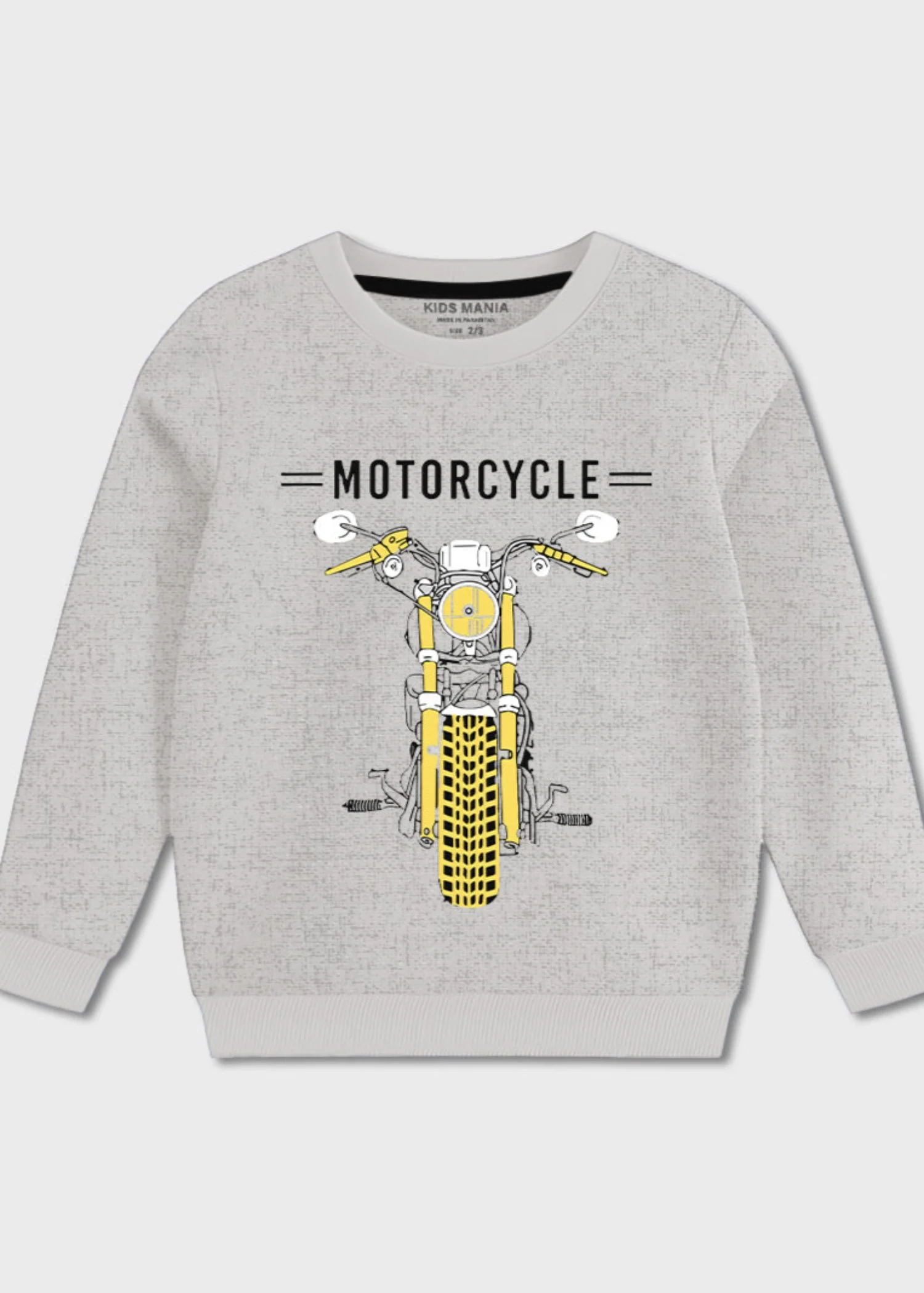 fleece Sweatshirt in Light grey