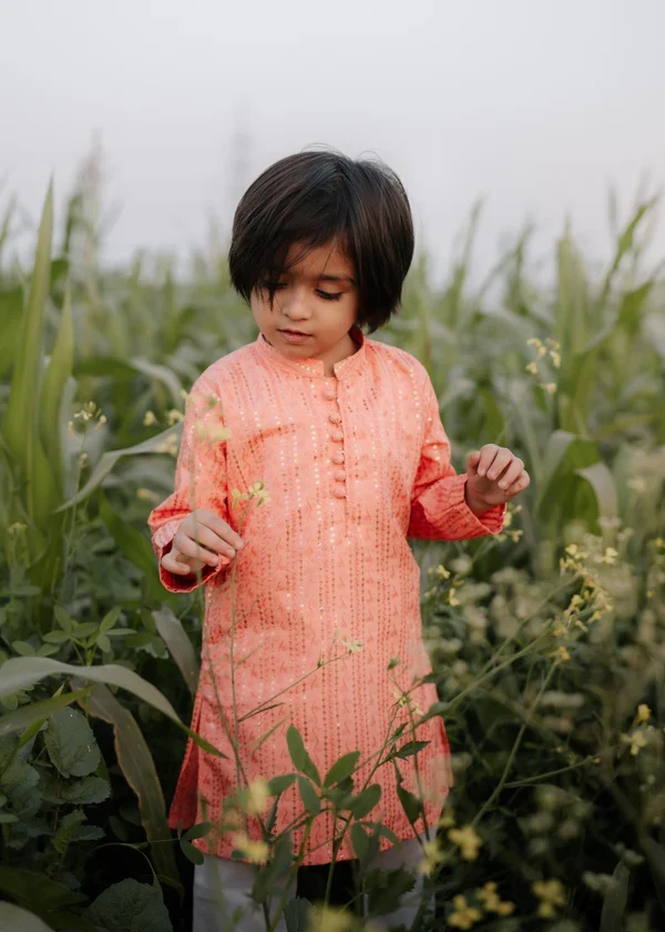 masuri Kurta in Pastel pink - view 5
