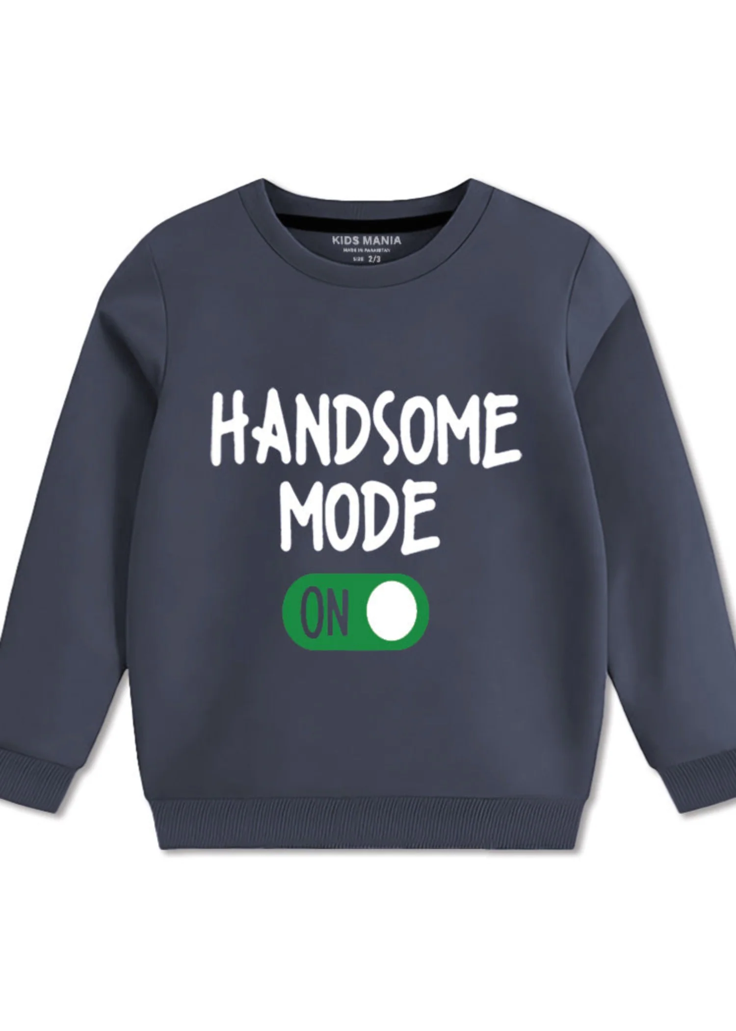 fleece Sweatshirt in Grey
