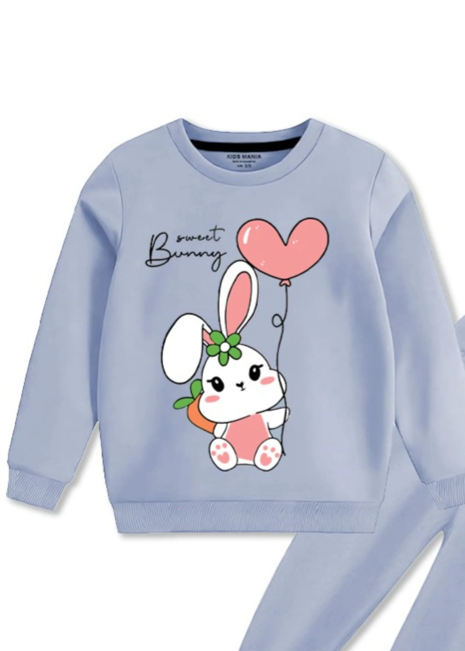 fleece Sweatshirt in Sky blue - view 2