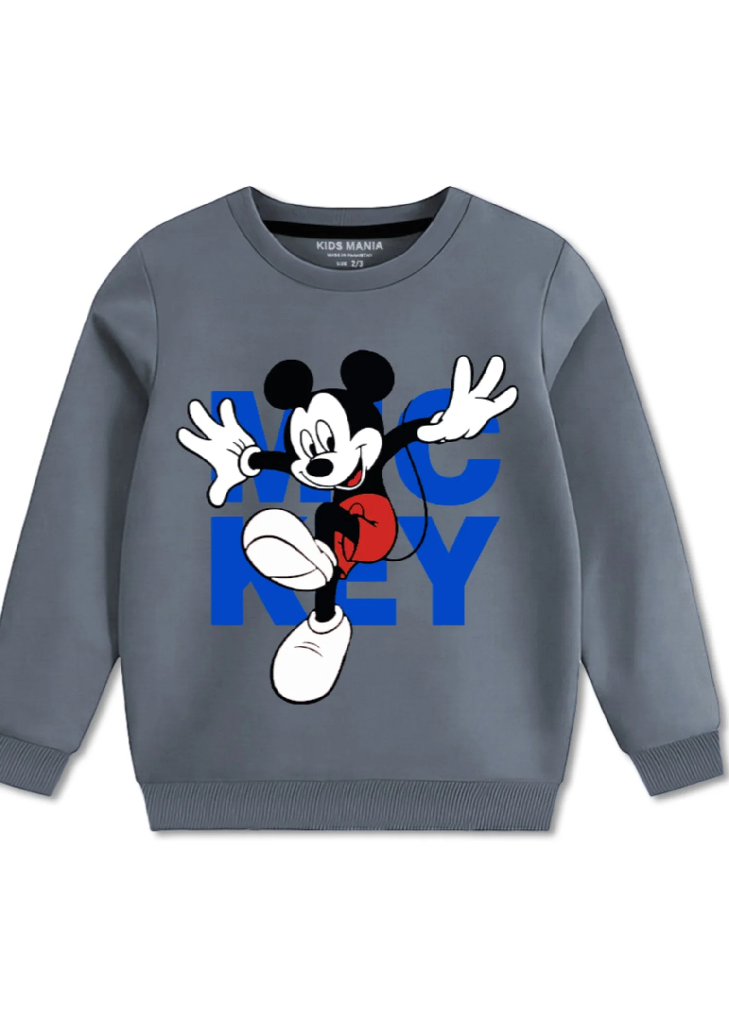 fleece Sweatshirt in Shadow blue