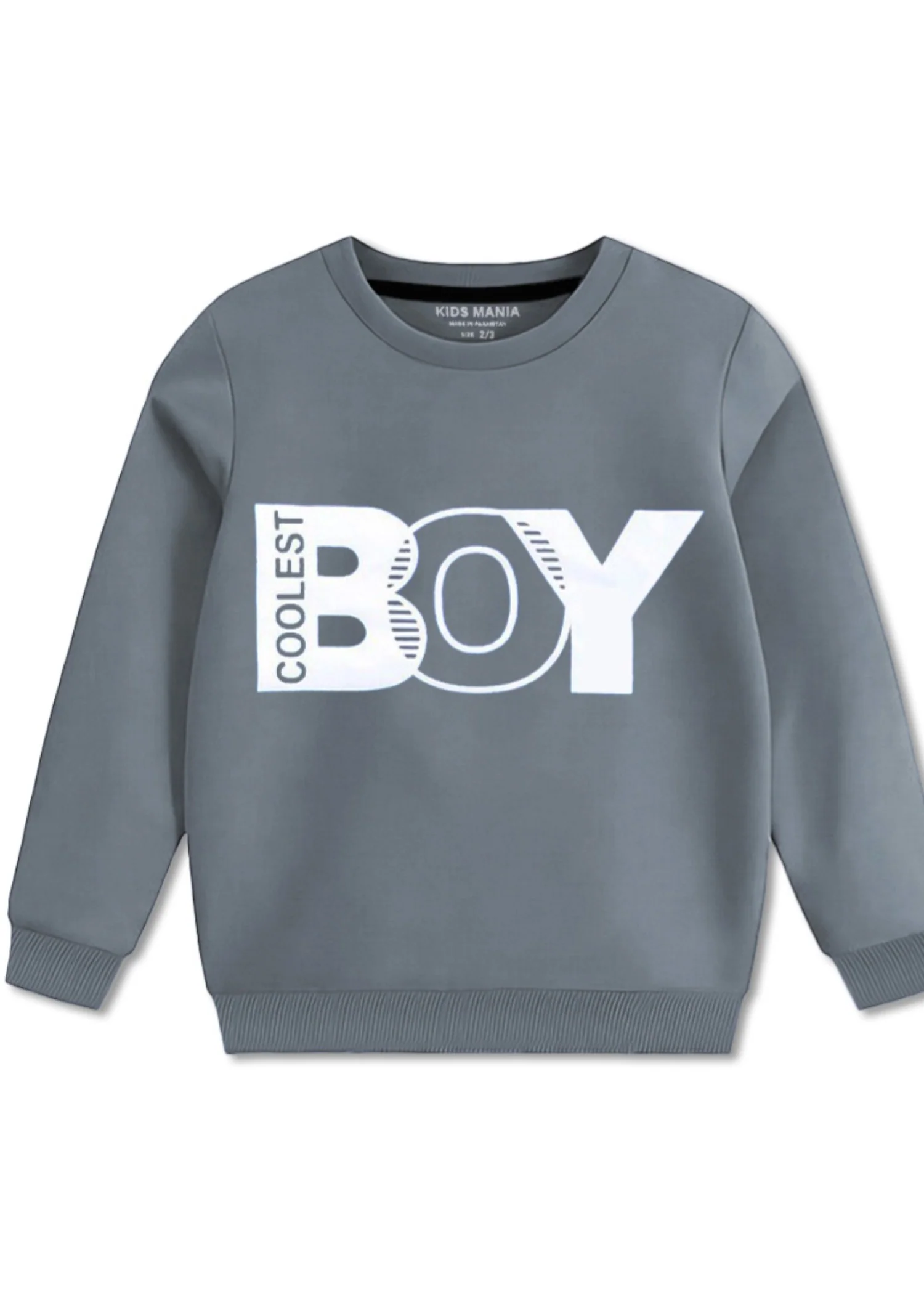 fleece Sweatshirt in Grey - view 2
