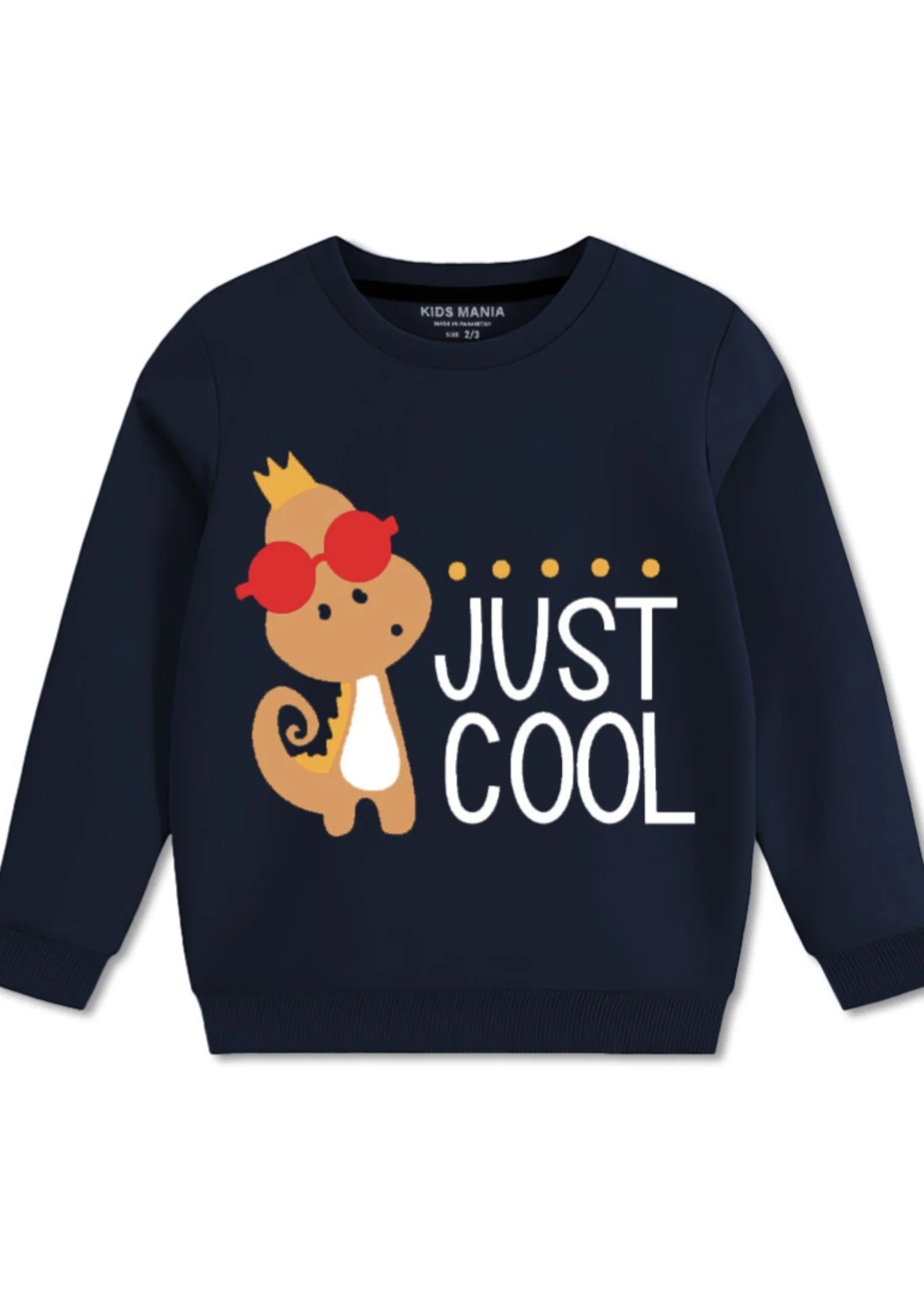 fleece Sweatshirt in Navy blue