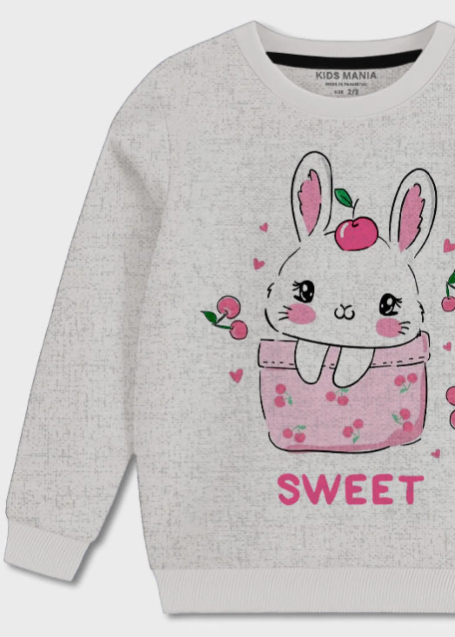 fleece Sweatshirt in Light grey - view 3