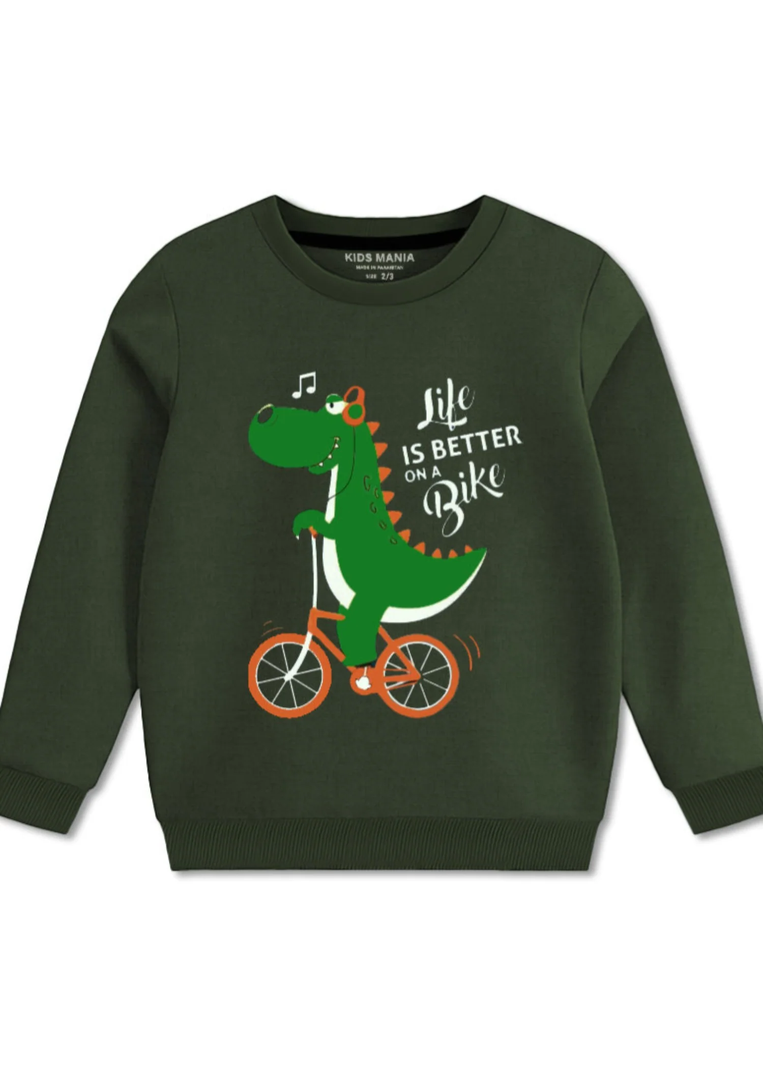 fleece Sweatshirt in Green