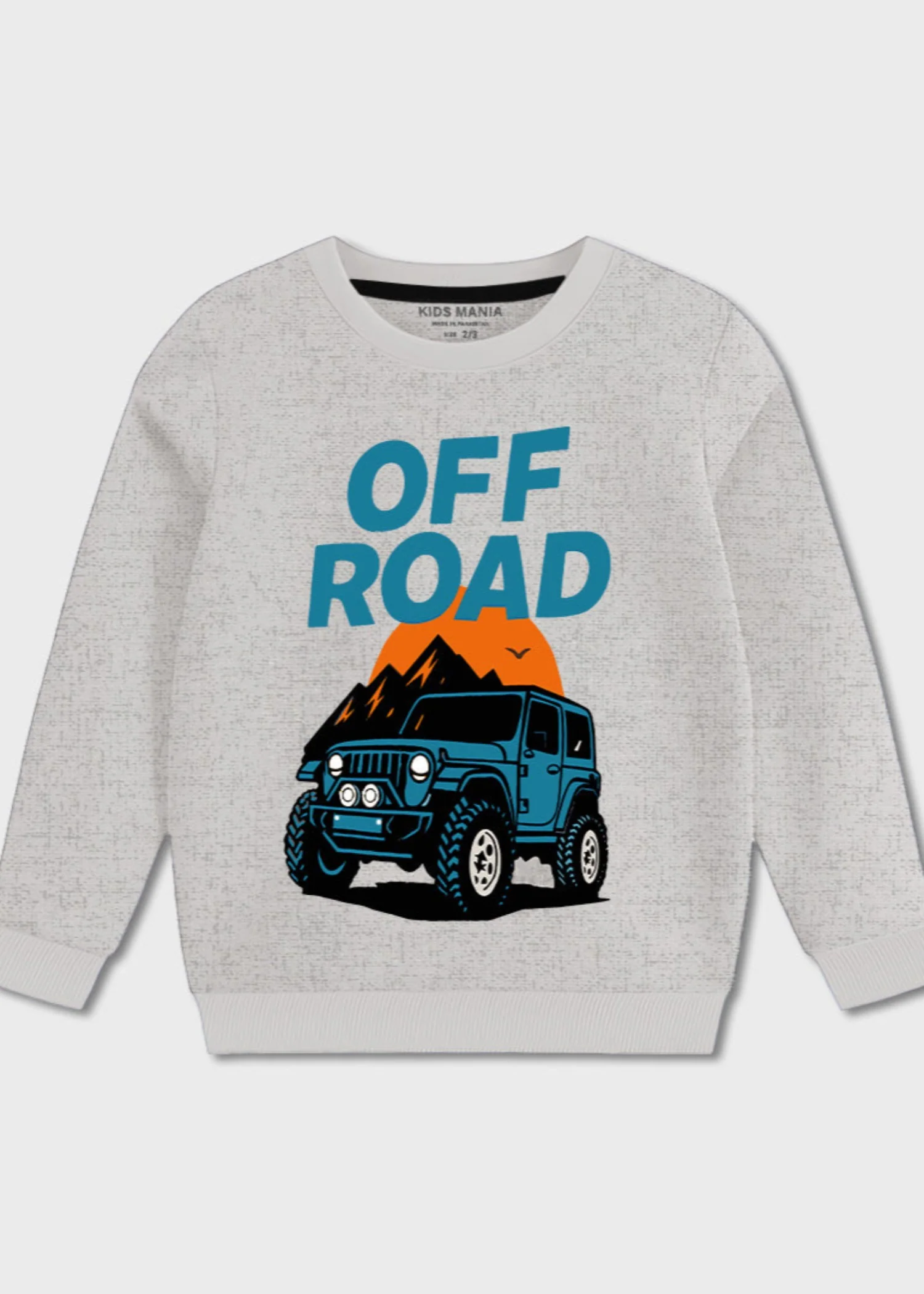 fleece Sweatshirt in Light grey