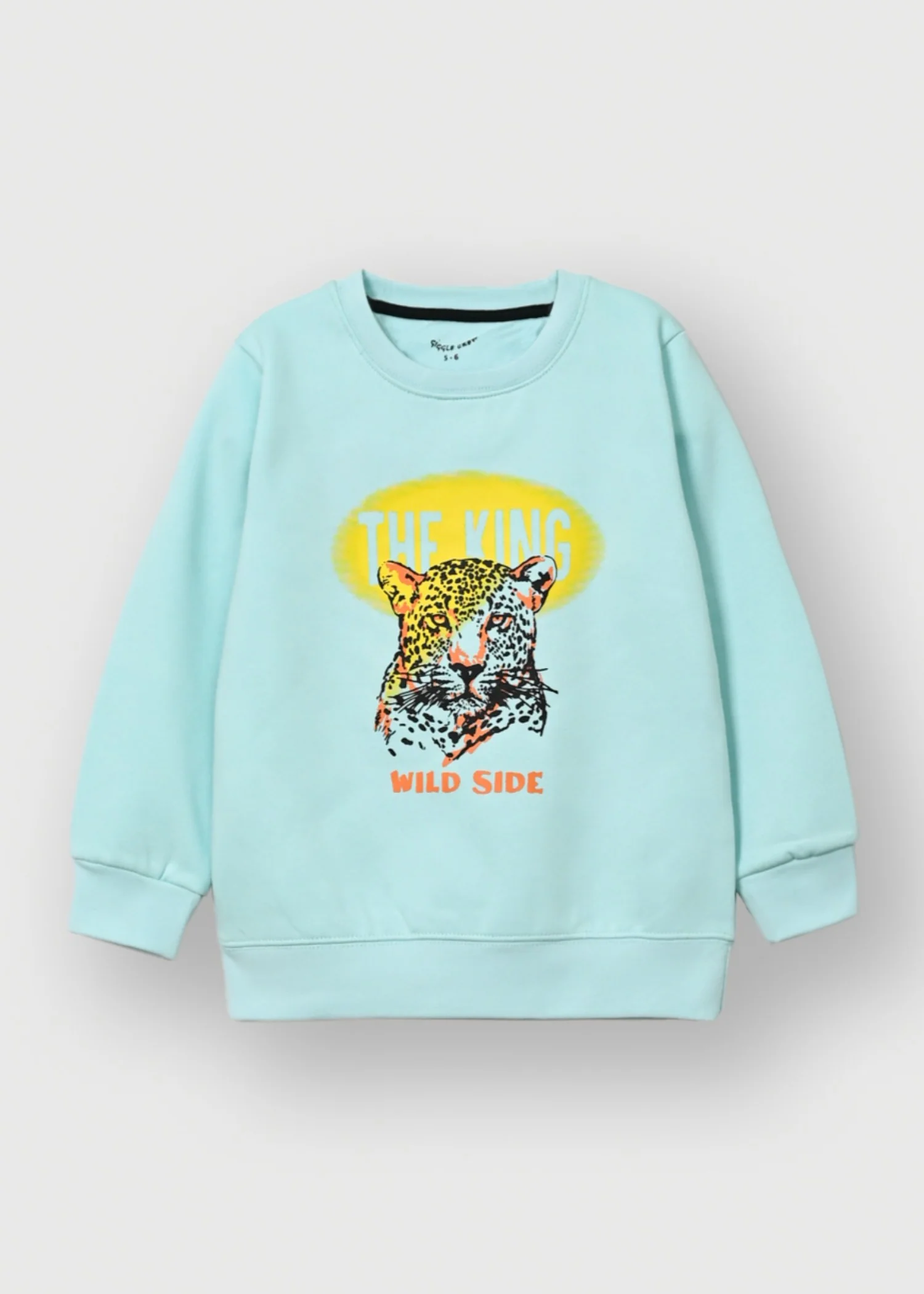 fleece Sweatshirt in Mint green