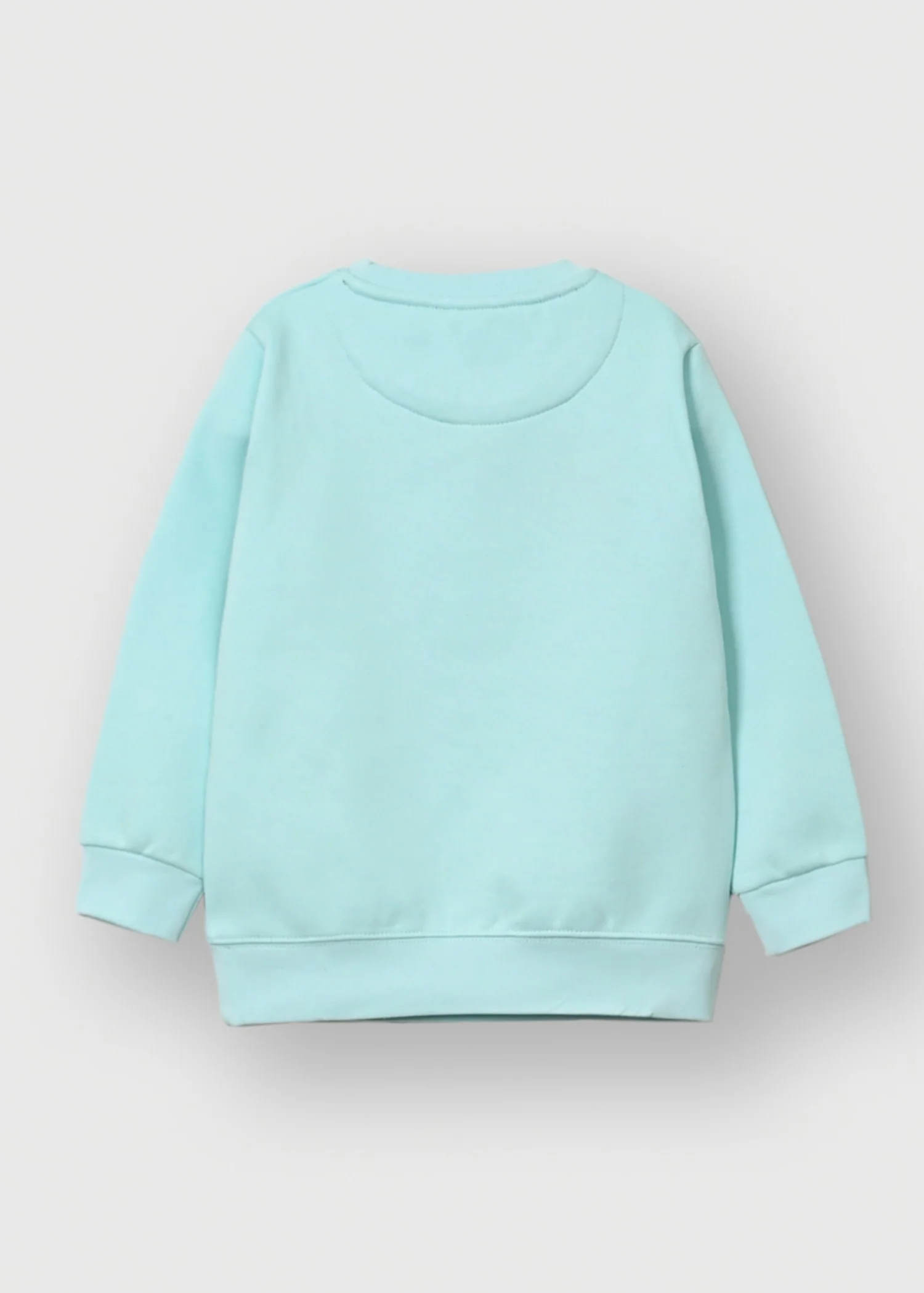 fleece Sweatshirt in Mint green - view 2