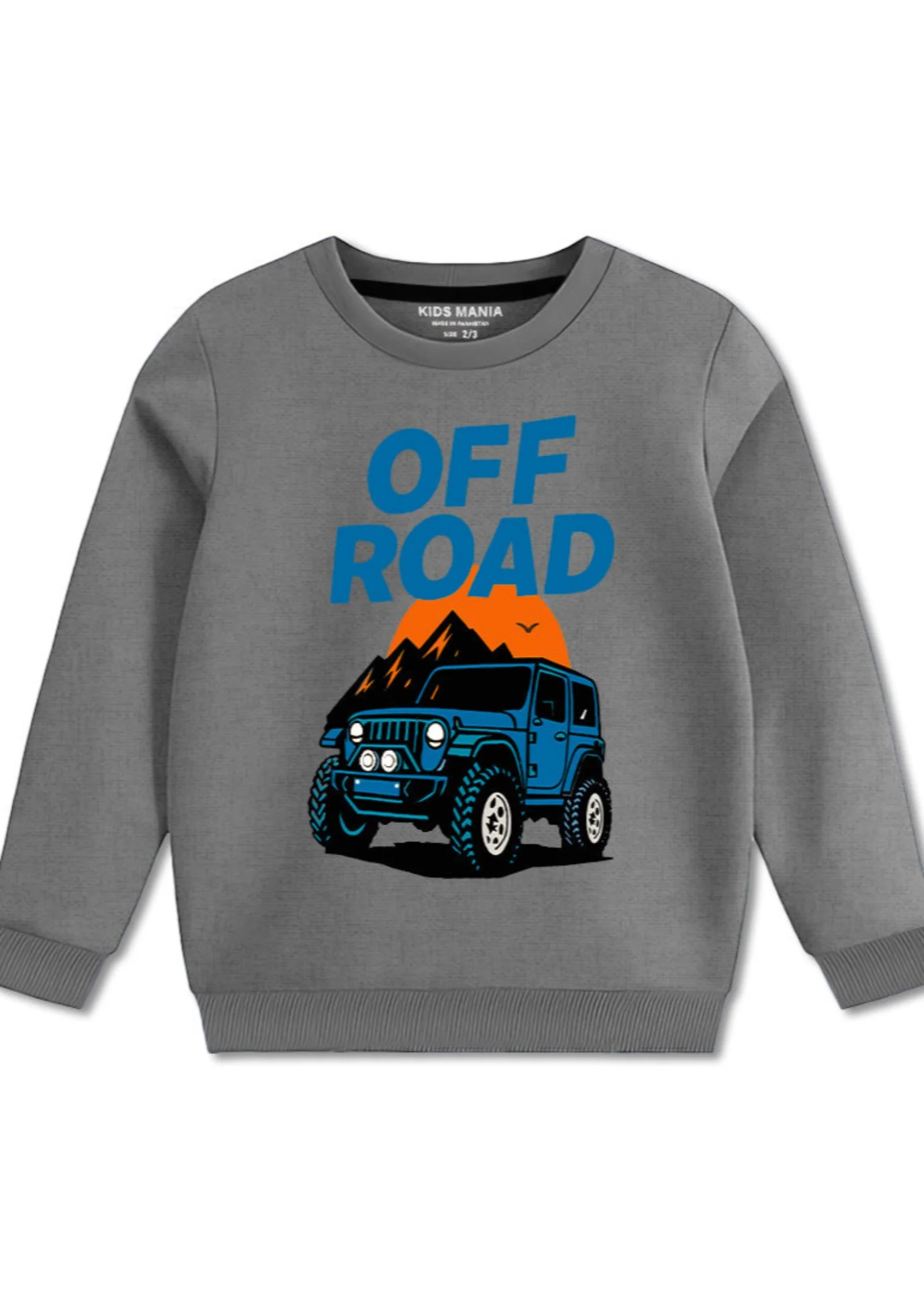 fleece Sweatshirt in Grey